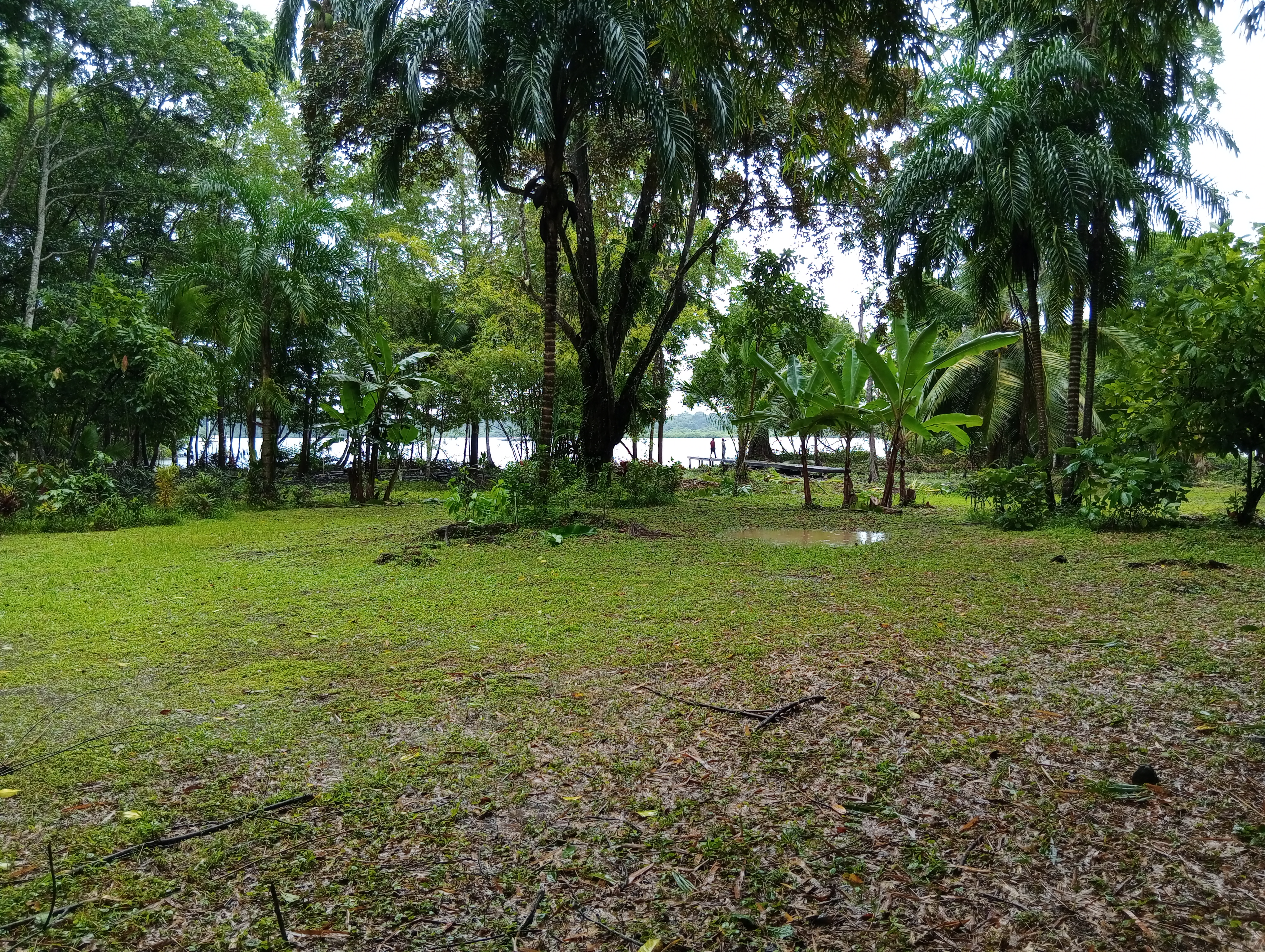 Tierra Oscura Waterfront Lot with Road Access – 1.5 Acres