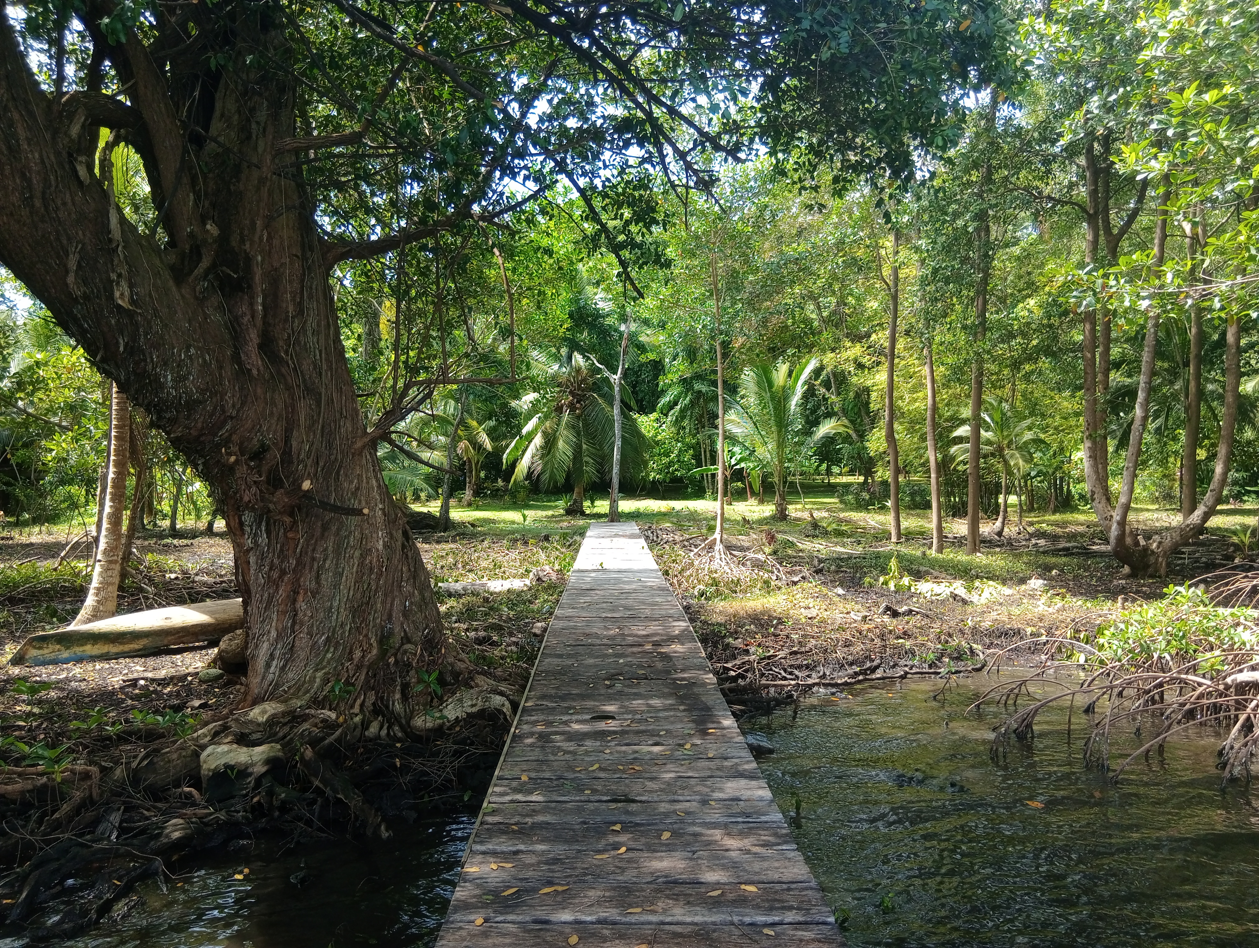 Tierra Oscura Waterfront Lot with Road Access – 1.5 Acres