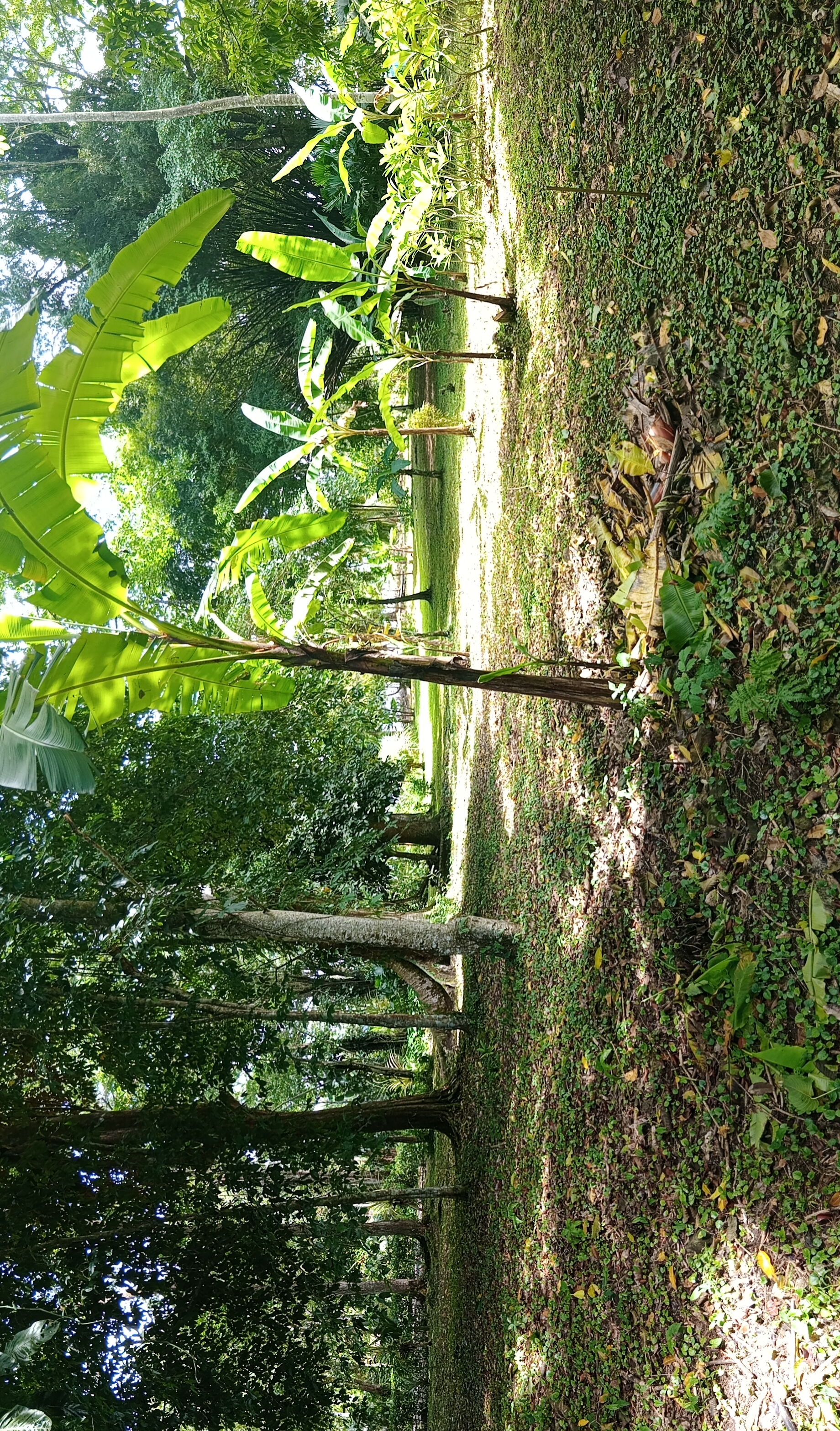 Tierra Oscura Waterfront Lot with Road Access – 1.5 Acres