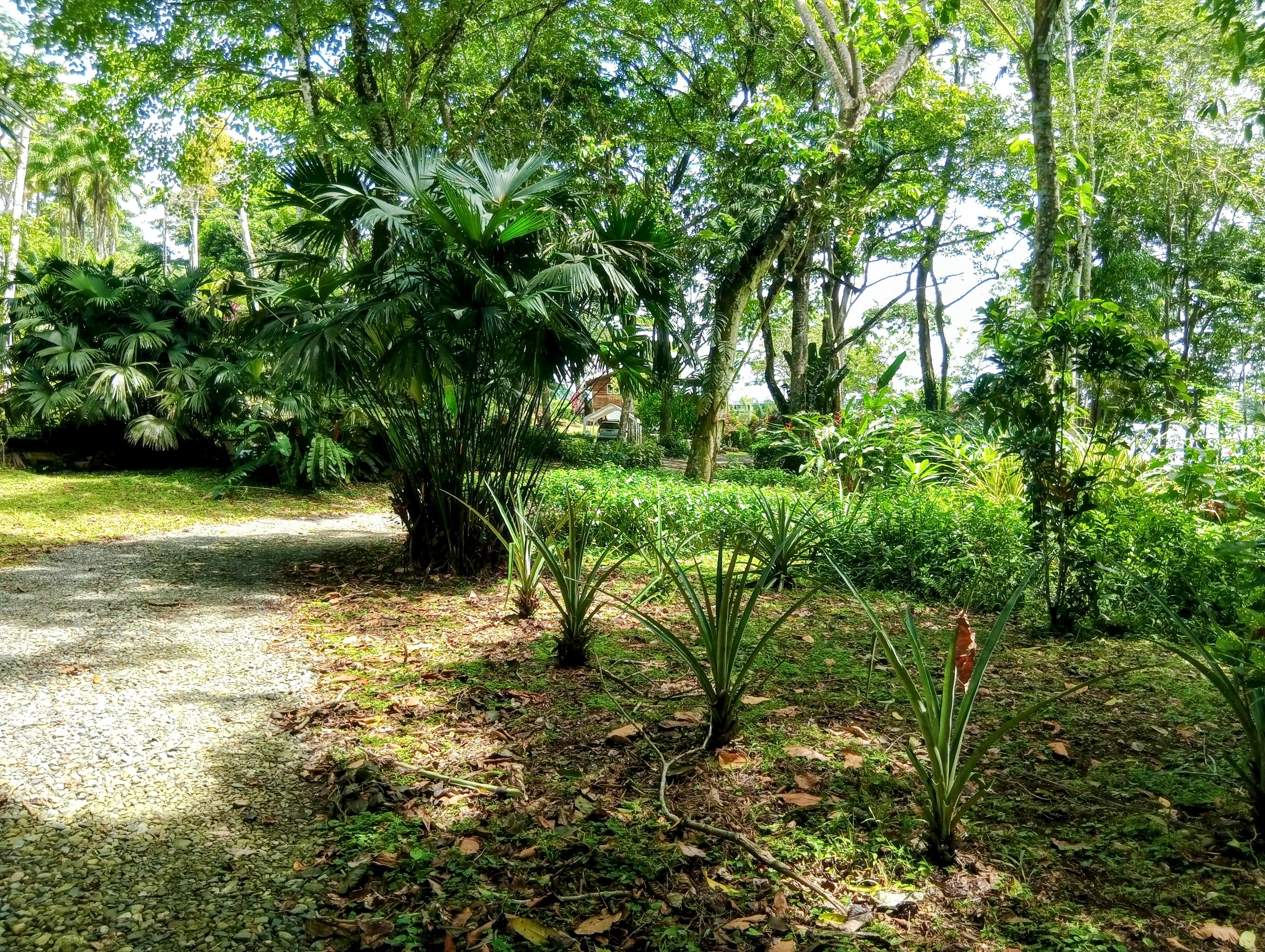 Tierra Oscura Waterfront Lot with Road Access – 1.5 Acres