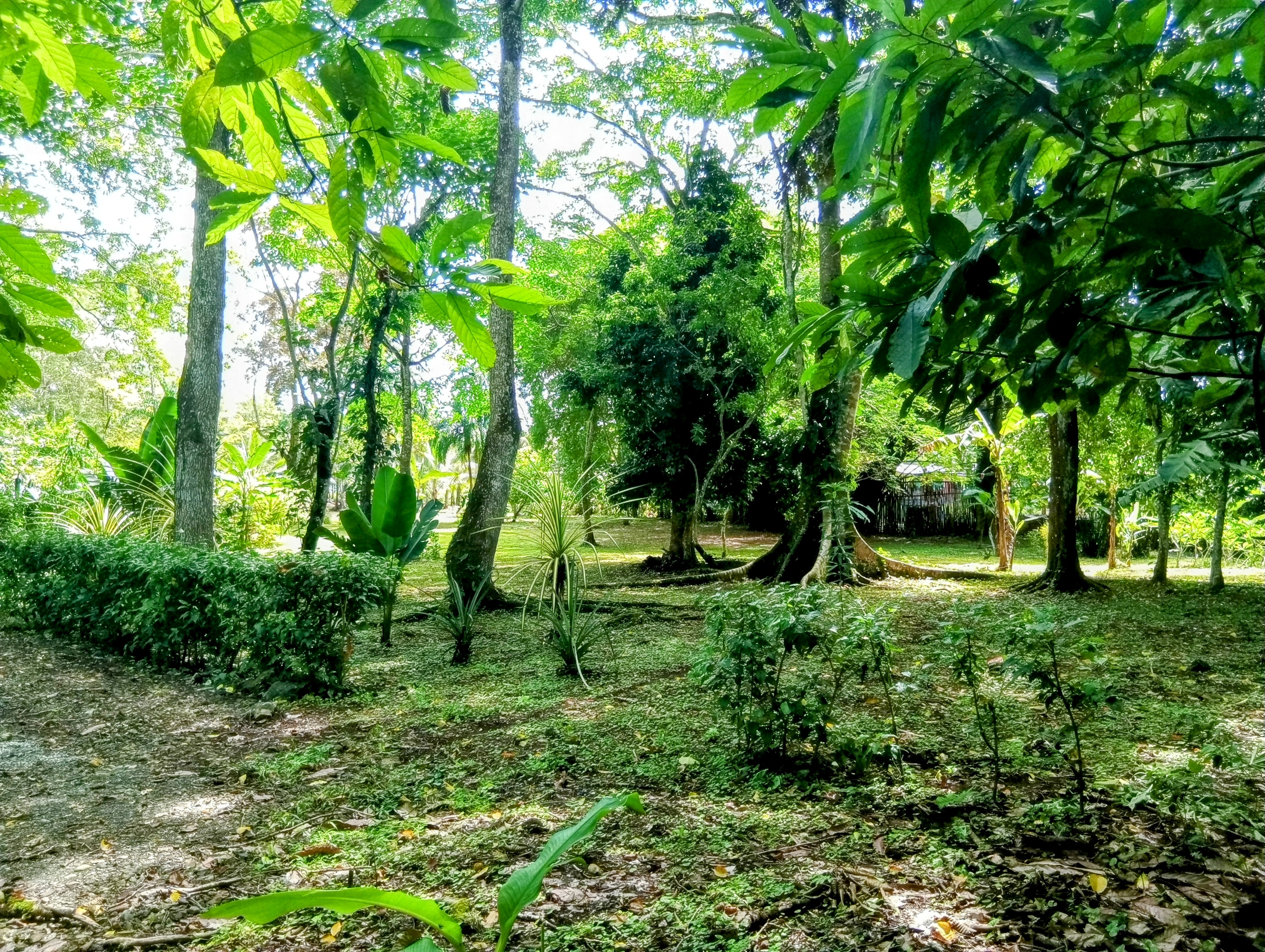Tierra Oscura Waterfront Lot with Road Access – 1.5 Acres