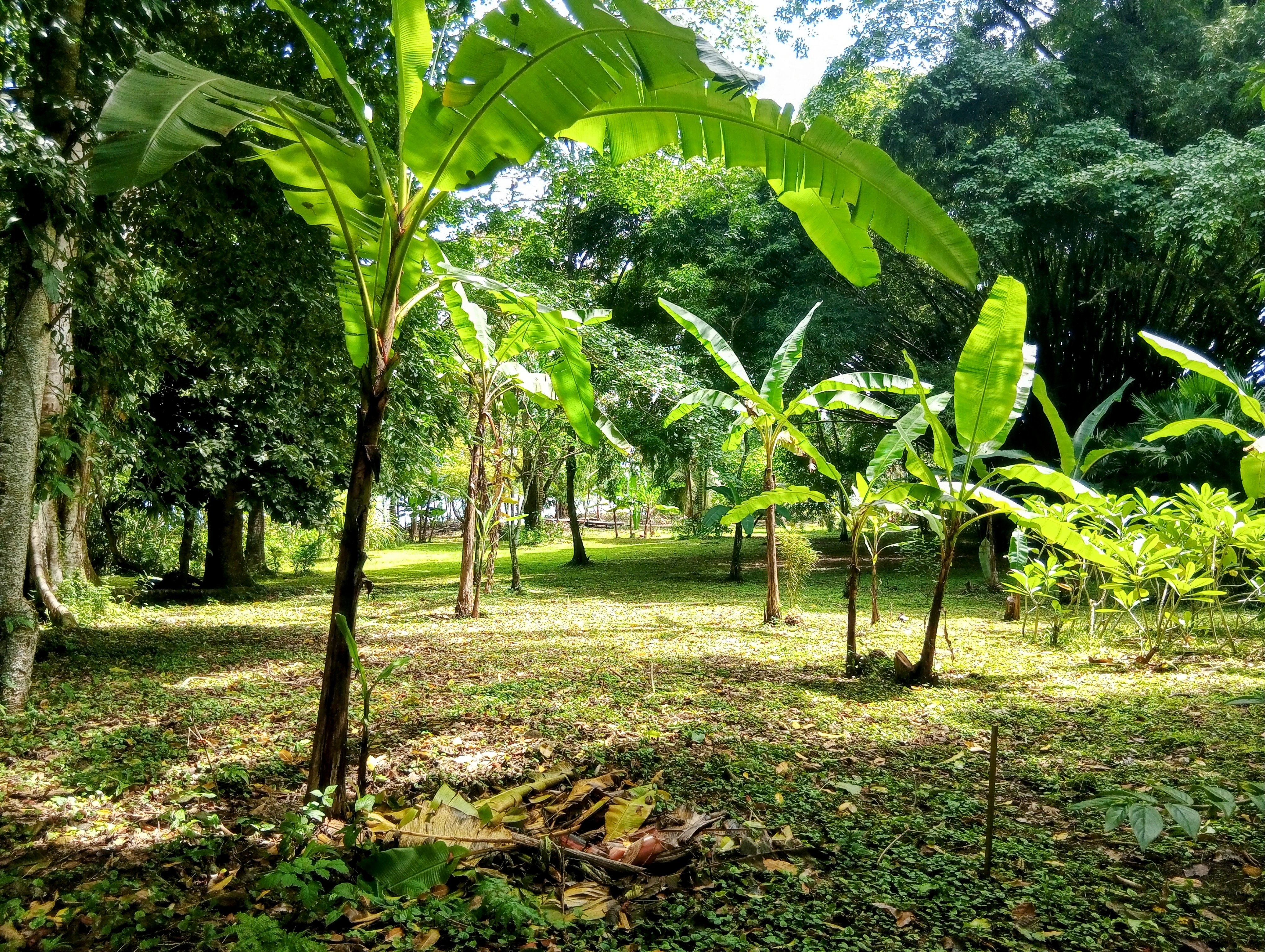 Tierra Oscura Waterfront Lot with Road Access – 1.5 Acres
