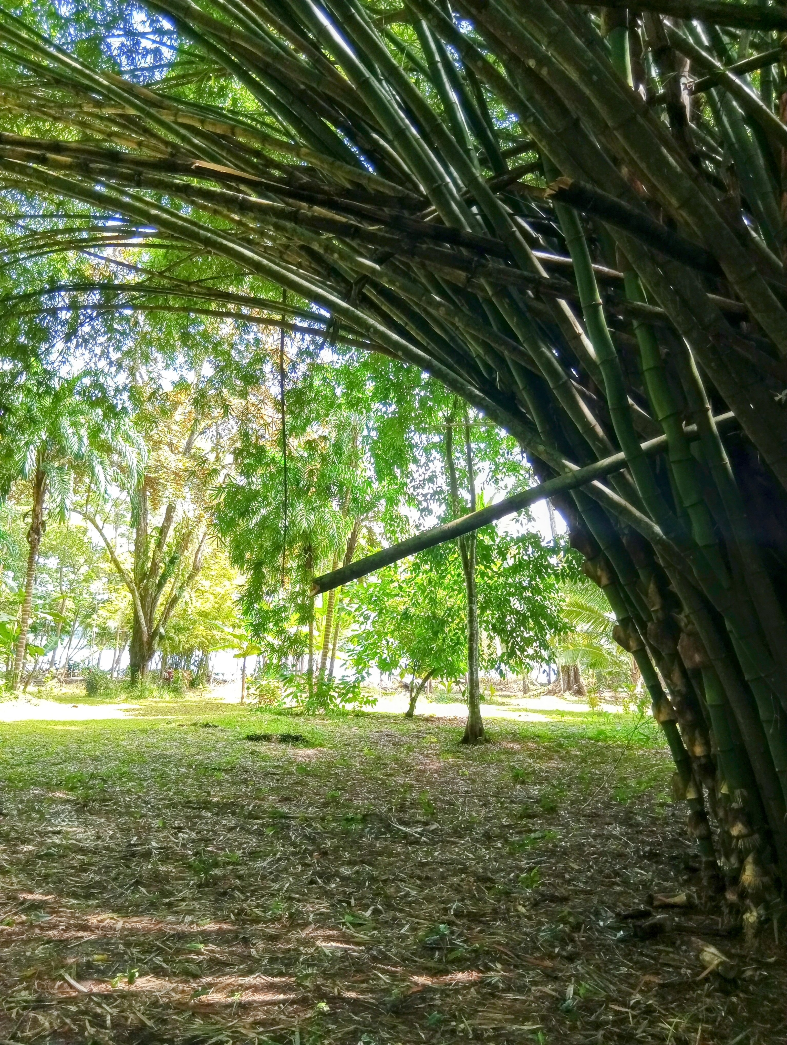 Tierra Oscura Waterfront Lot with Road Access – 1.5 Acres