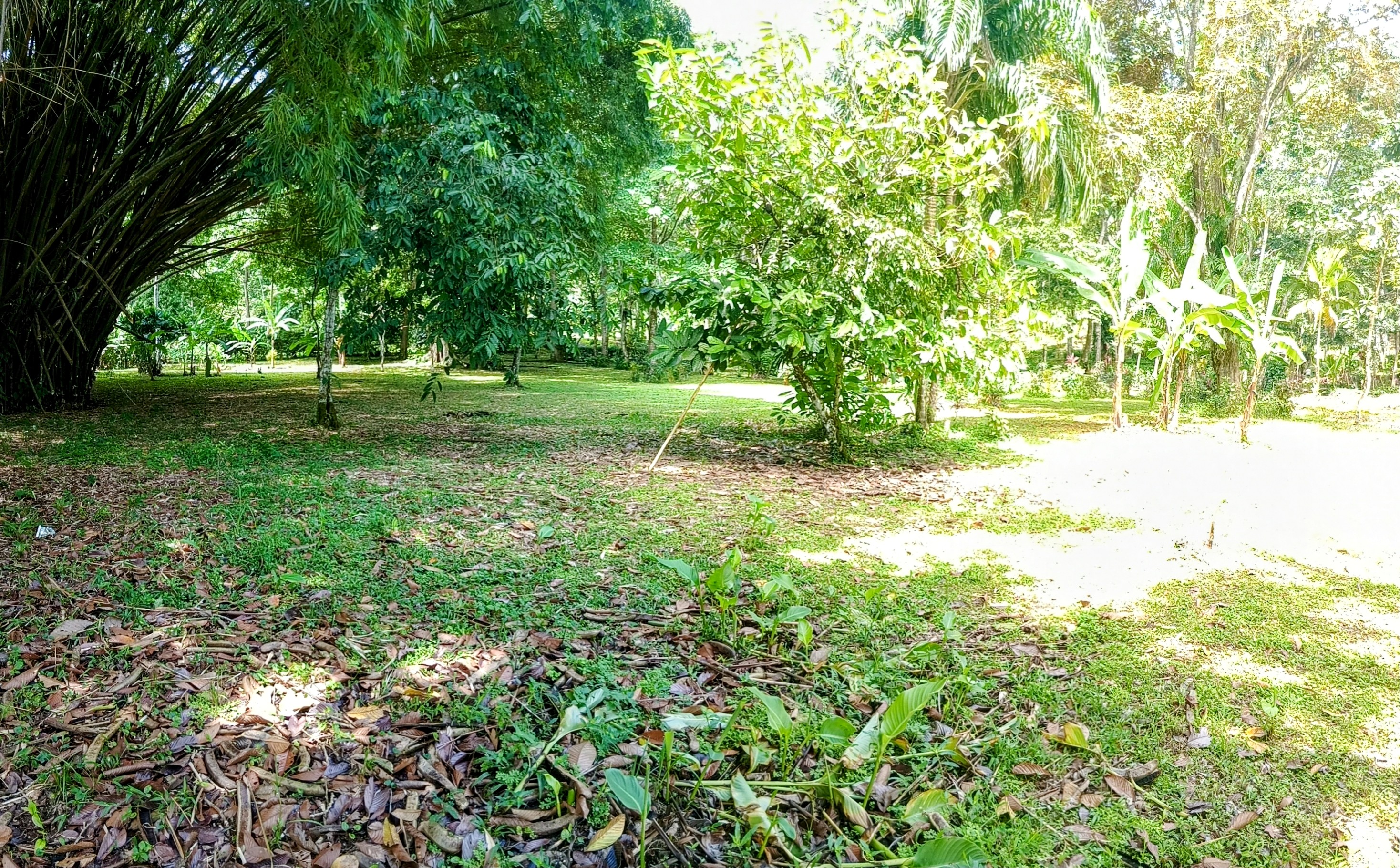 Tierra Oscura Waterfront Lot with Road Access – 1.5 Acres