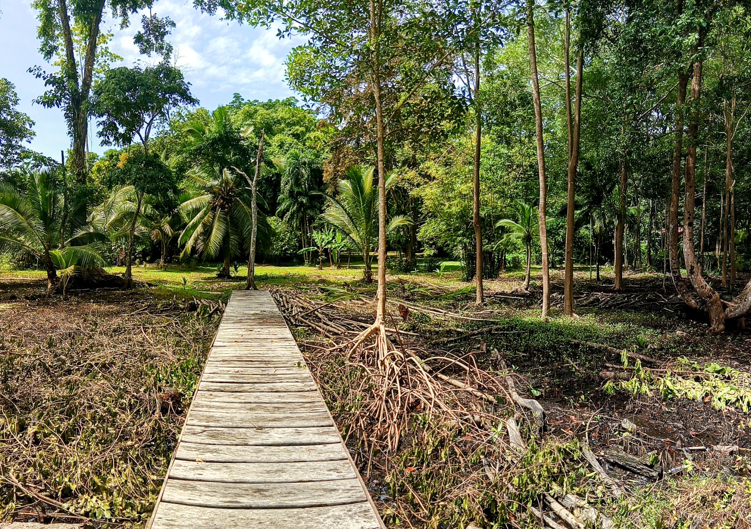 Tierra Oscura Waterfront Lot with Road Access – 1.5 Acres