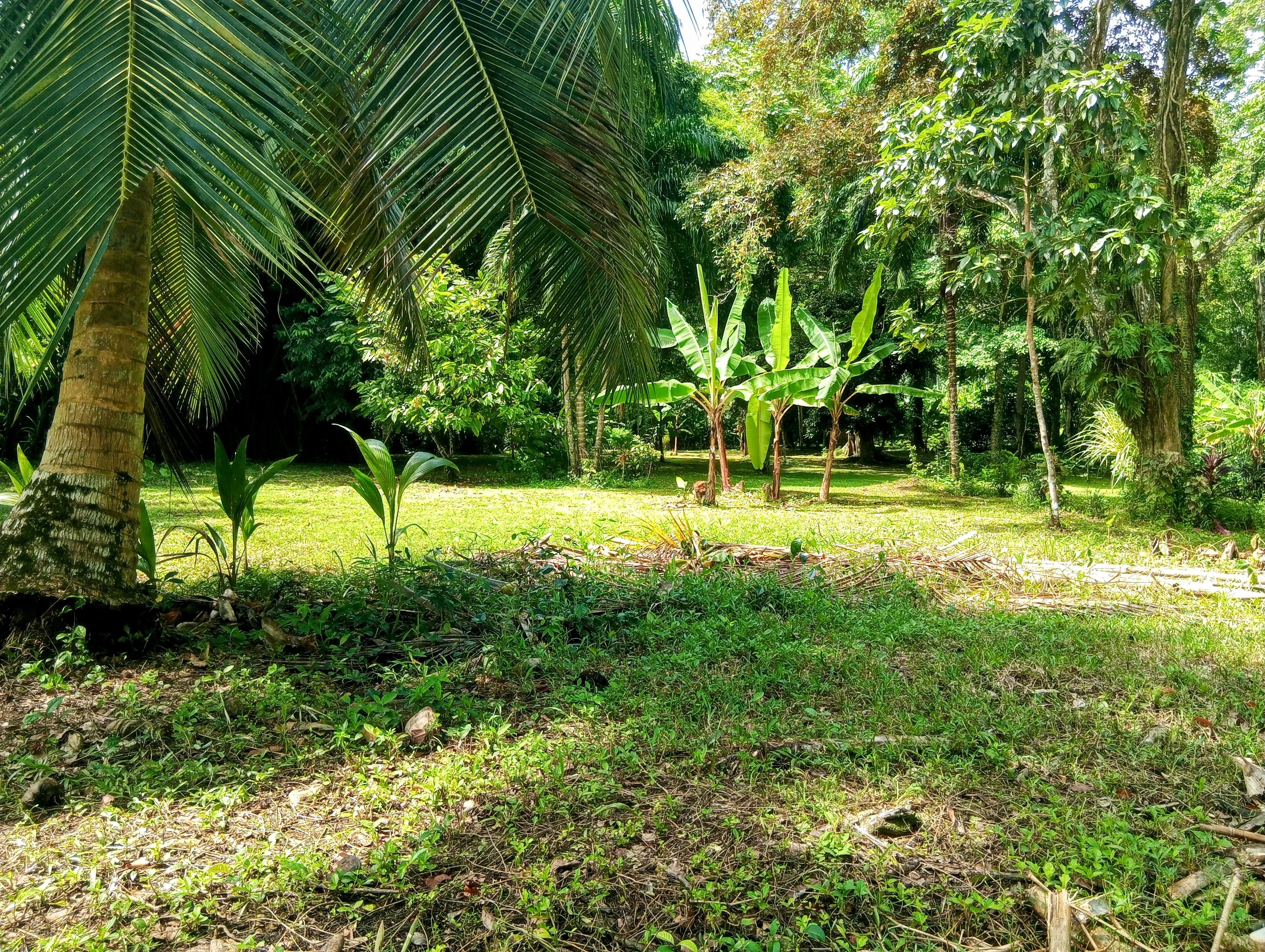 Tierra Oscura Waterfront Lot with Road Access – 1.5 Acres