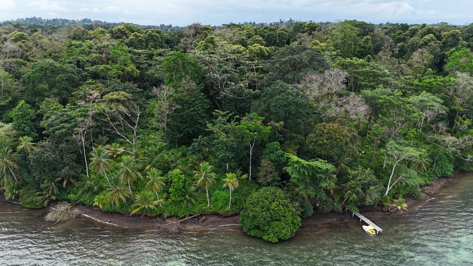 Pristine Caribbean Waterfront Estate in Isla Popa, Bocas del Toro: 3+ Hectares with 120m Beach Frontage