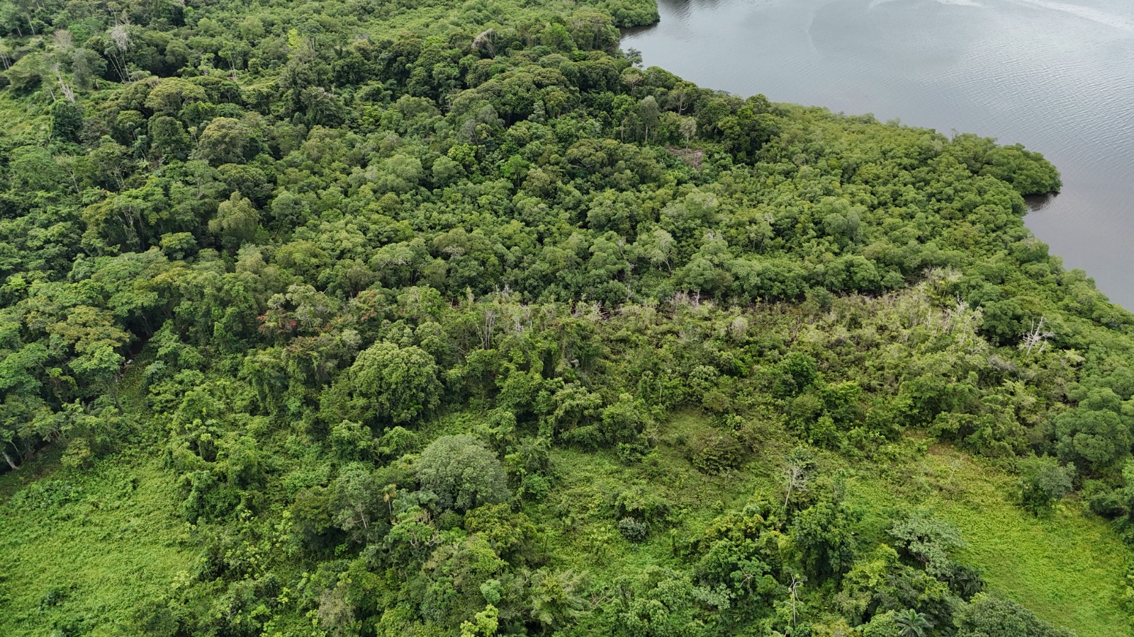 Pristine Caribbean Waterfront Estate in Isla Popa, Bocas del Toro: 3+ Hectares with 120m Beach Frontage