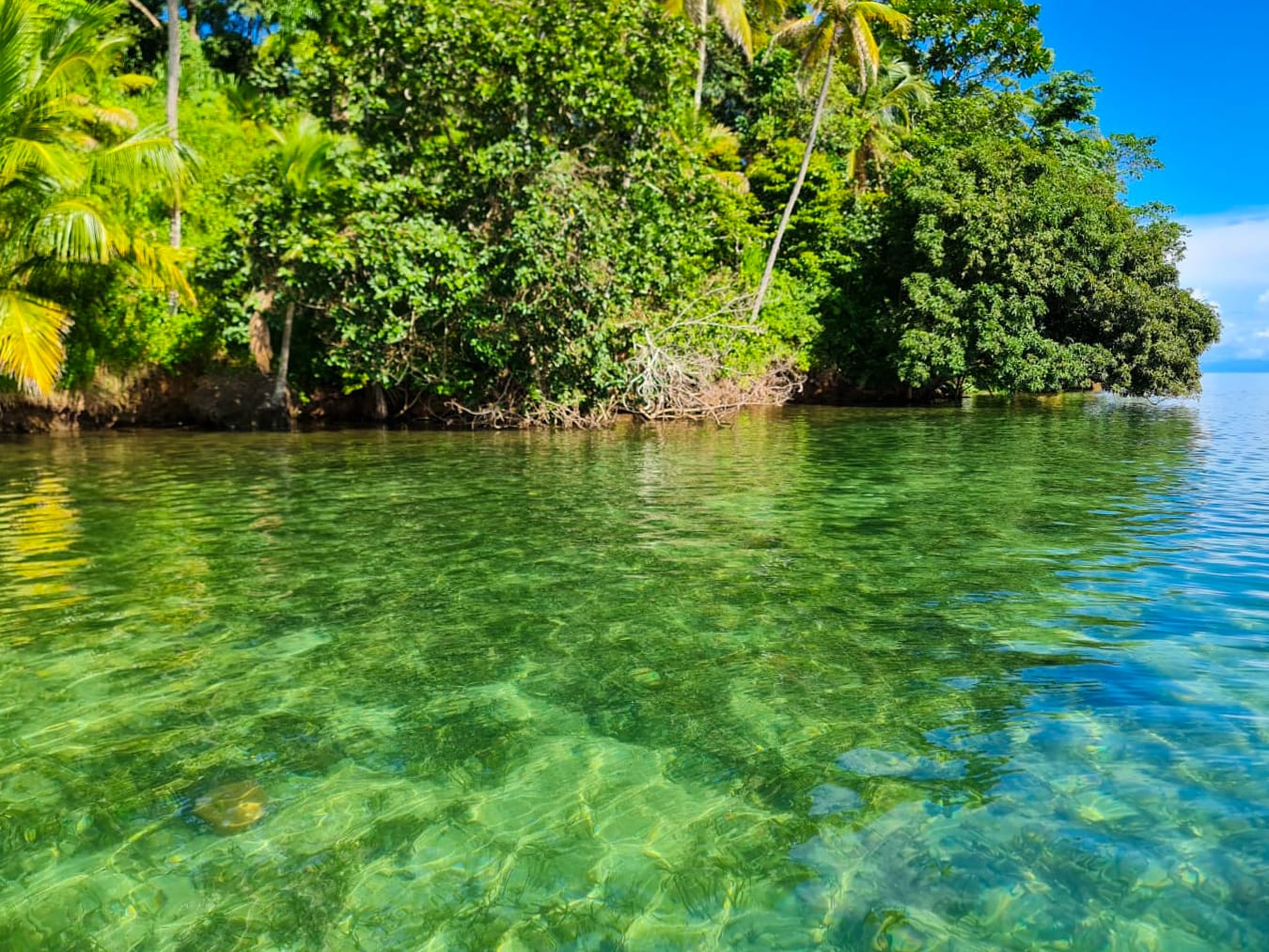 Pristine Caribbean Waterfront Estate in Isla Popa, Bocas del Toro: 3+ Hectares with 120m Beach Frontage
