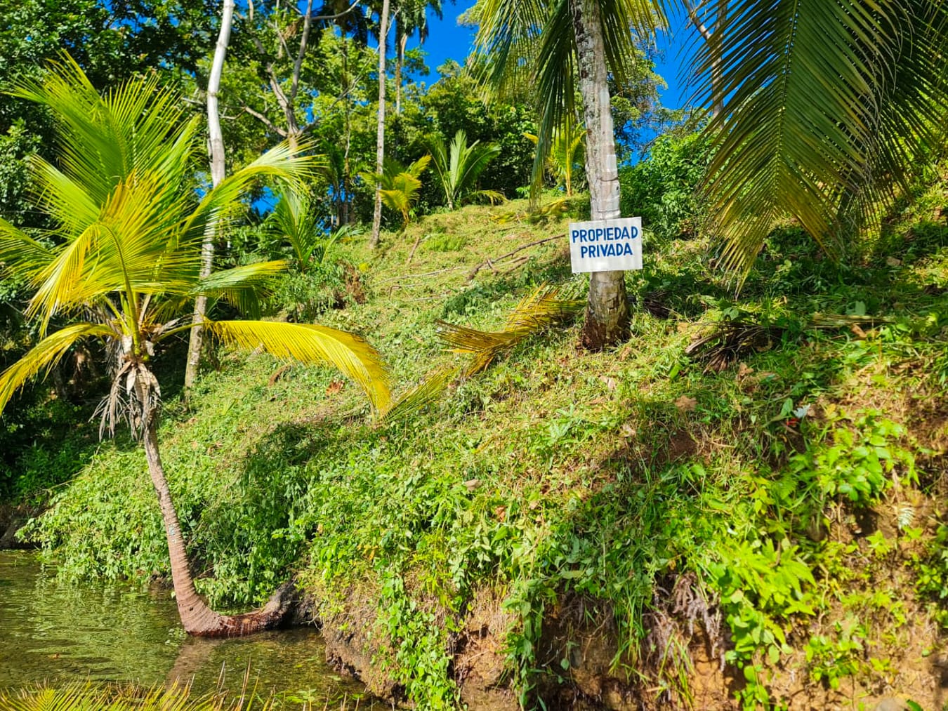 Pristine Caribbean Waterfront Estate in Isla Popa, Bocas del Toro: 3+ Hectares with 120m Beach Frontage