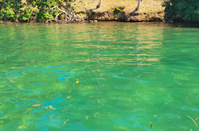 Pristine Caribbean Waterfront Estate in Isla Popa, Bocas del Toro: 3+ Hectares with 120m Beach Frontage