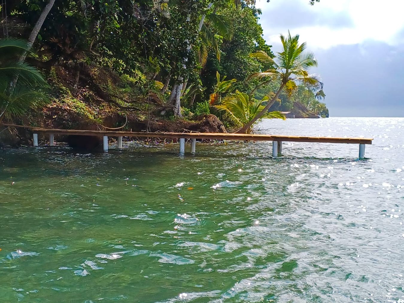Pristine Caribbean Waterfront Estate in Isla Popa, Bocas del Toro: 3+ Hectares with 120m Beach Frontage