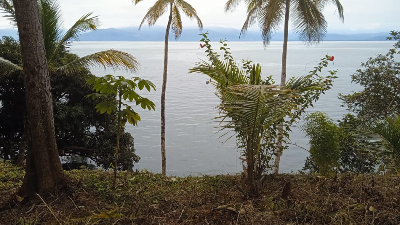 Pristine Caribbean Waterfront Estate in Isla Popa, Bocas del Toro: 3+ Hectares with 120m Beach Frontage