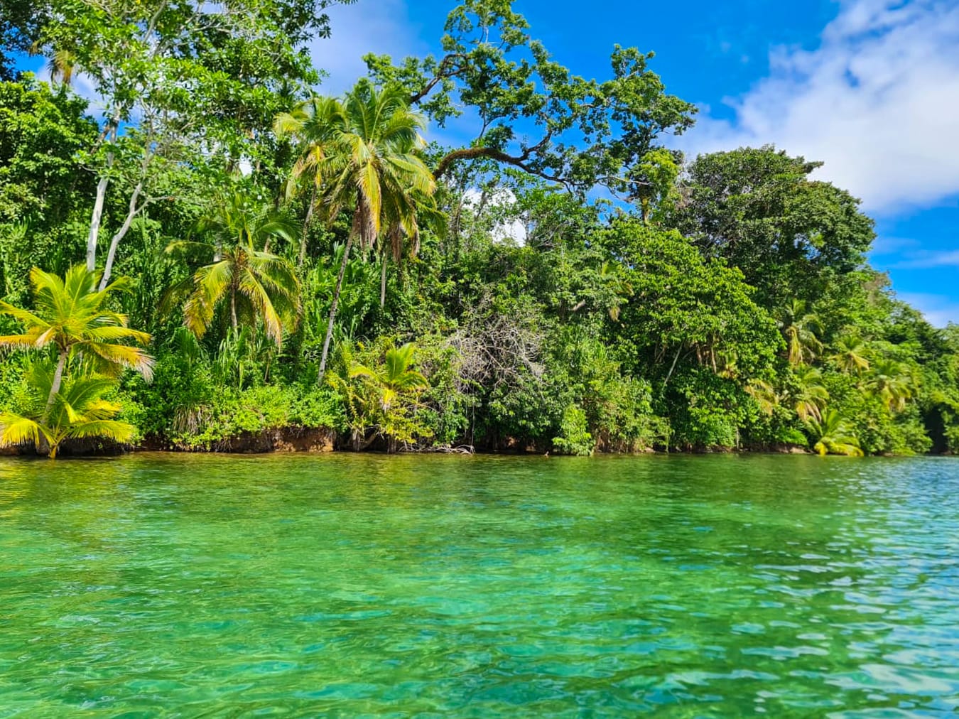Pristine Caribbean Waterfront Estate in Isla Popa, Bocas del Toro: 3+ Hectares with 120m Beach Frontage