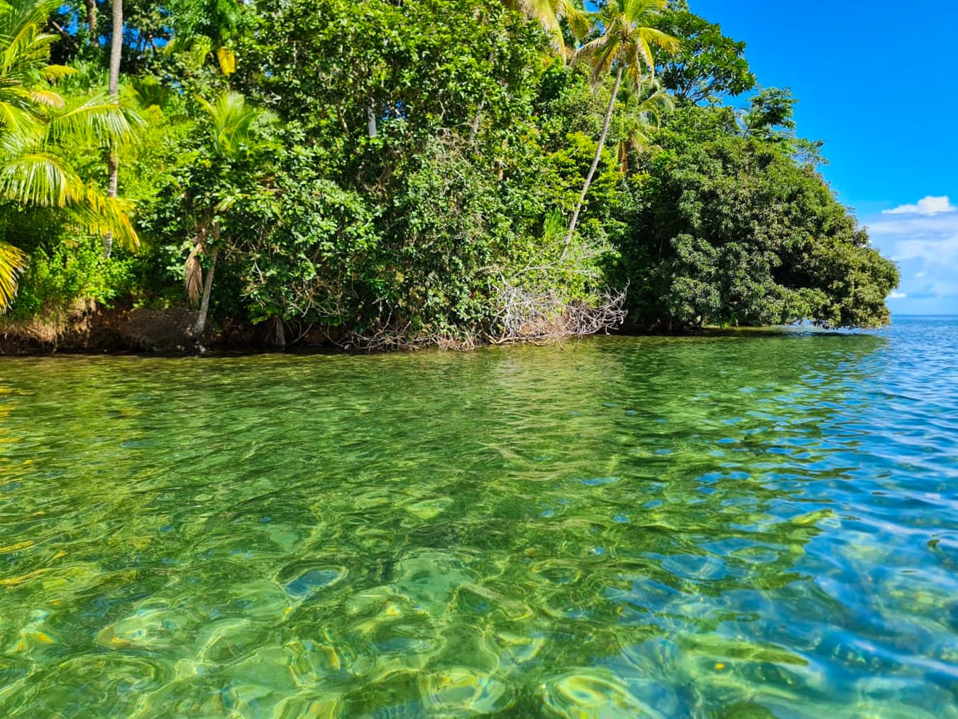 Pristine Caribbean Waterfront Estate in Isla Popa, Bocas del Toro: 3+ Hectares with 120m Beach Frontage