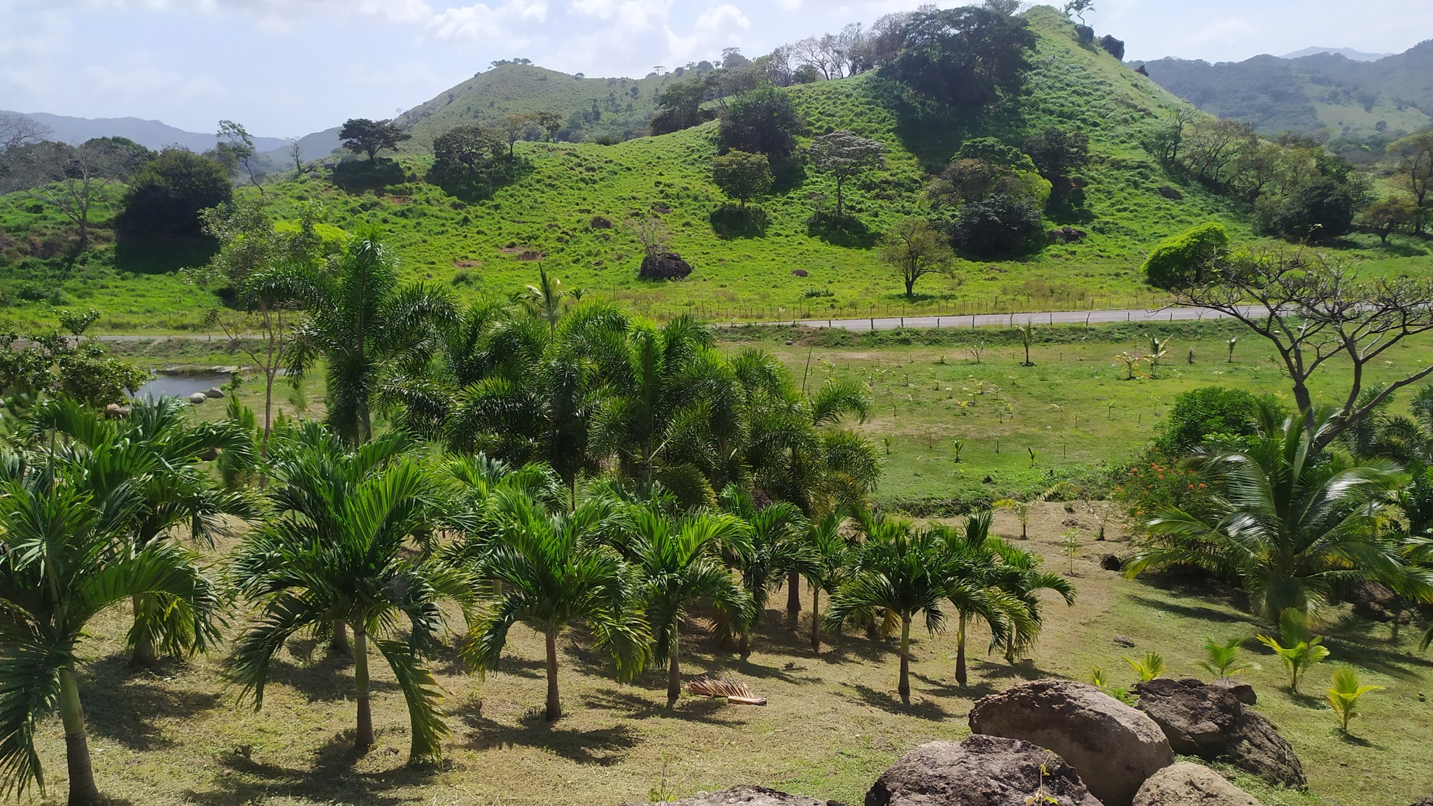 7 Hectare Eco-Friendly Land with Cabin & Ponds in La Pintada