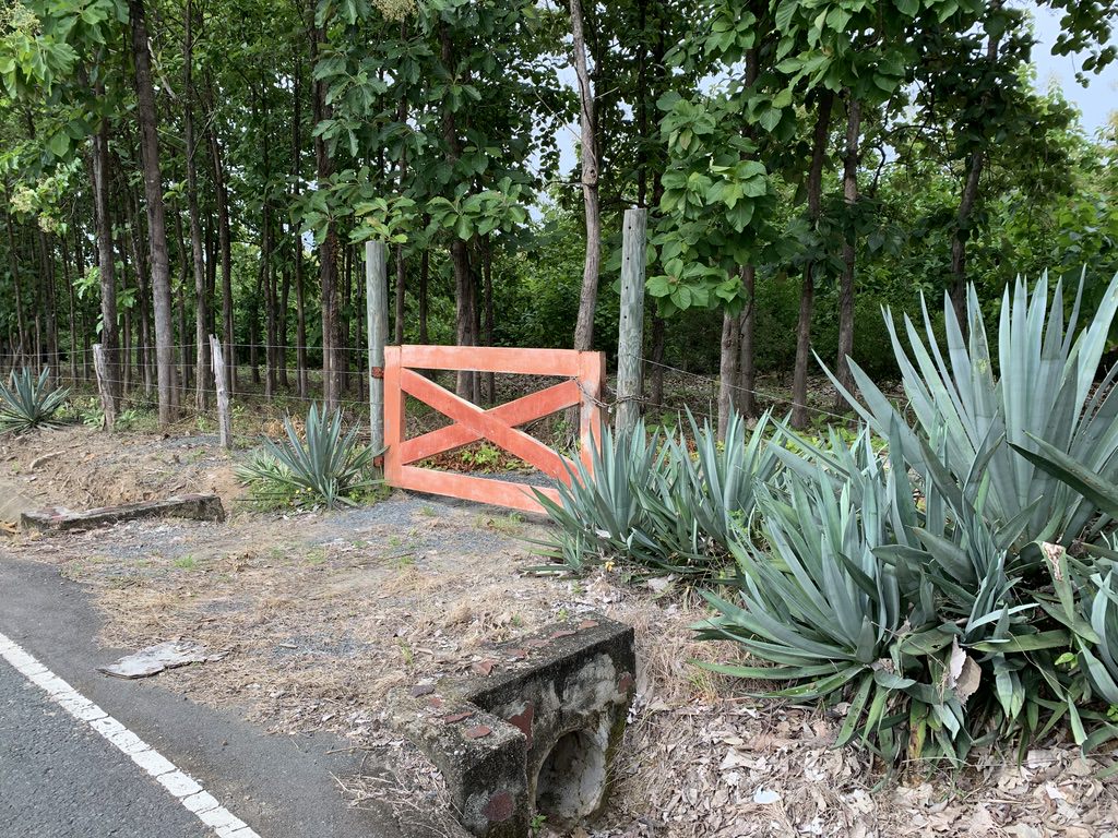 Luxury Estate in San Carlos, Panama | Private Villas, Teak Farms & Scenic Views