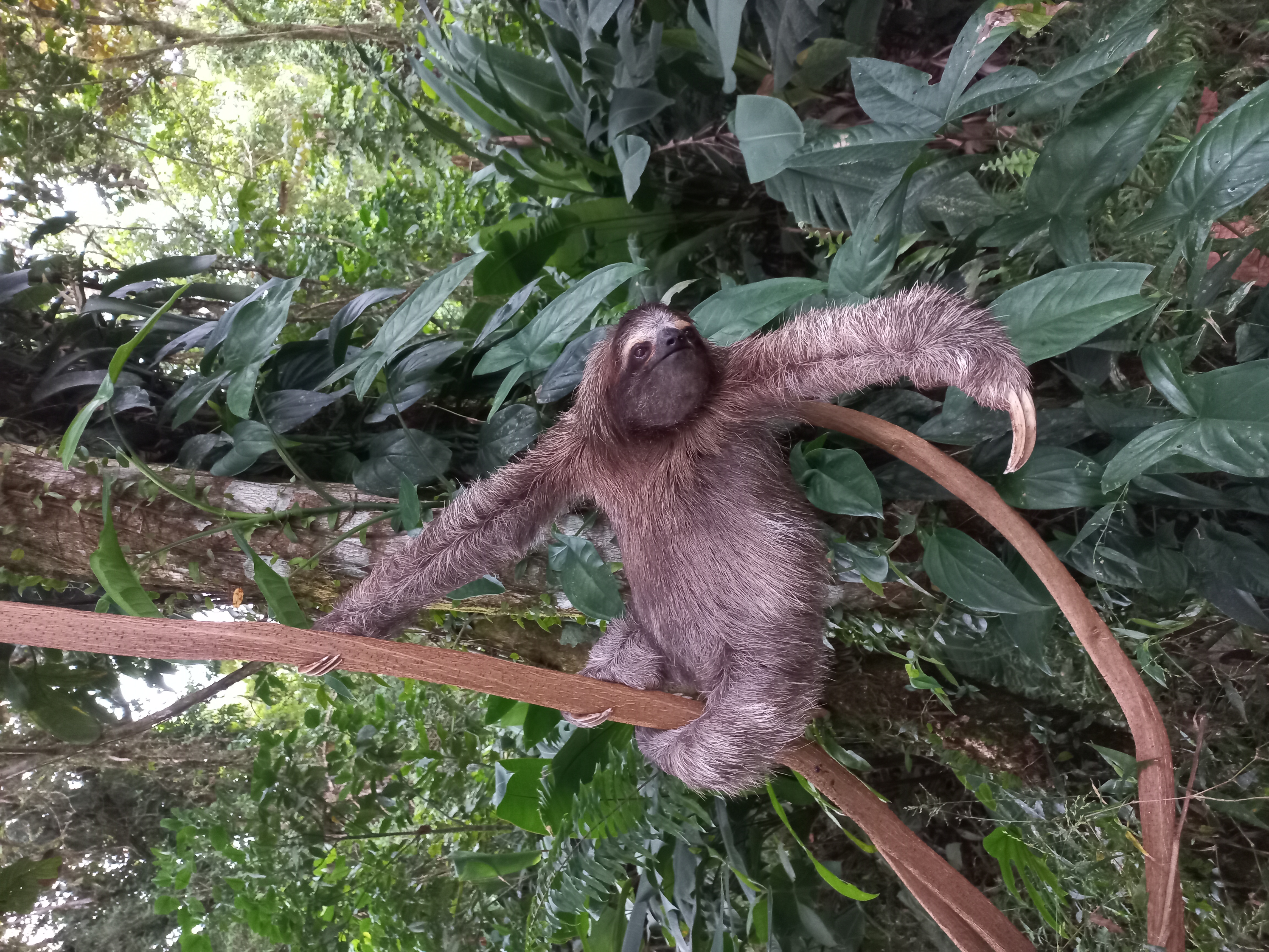 33-Acre Off-Grid Island in Bocas del Toro with Home & Dock