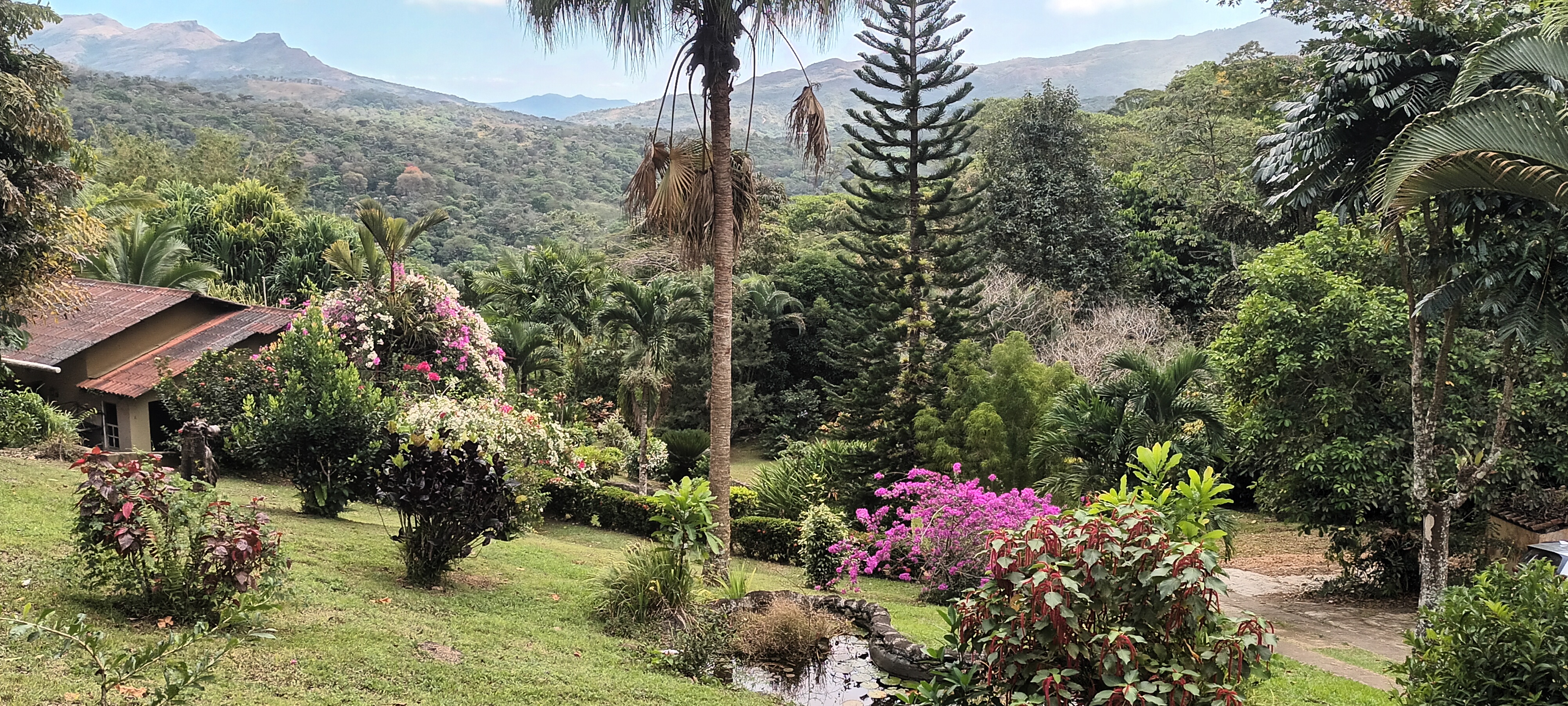 Versatile Mountain Property with Income-Generating Casitas in Santa Fe, Veraguas