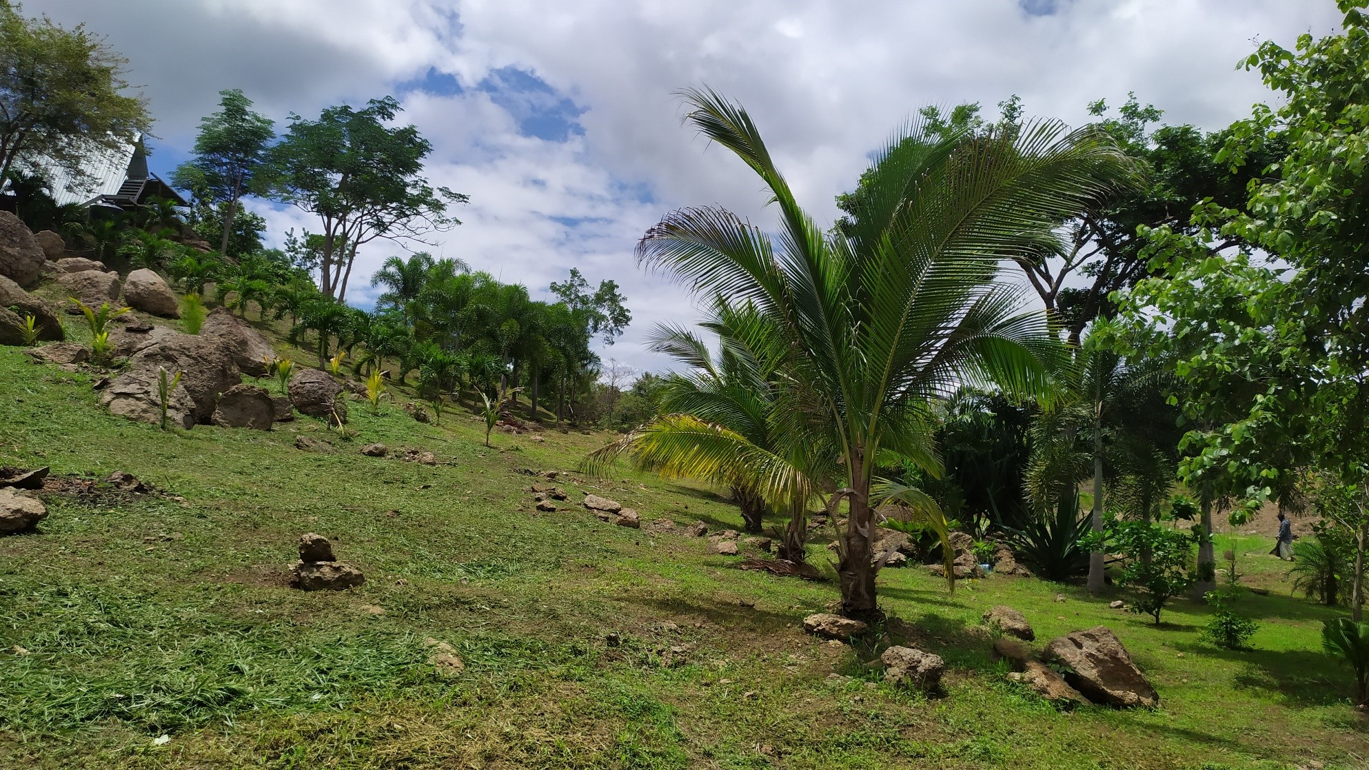 7 Hectare Eco-Friendly Land with Cabin & Ponds in La Pintada