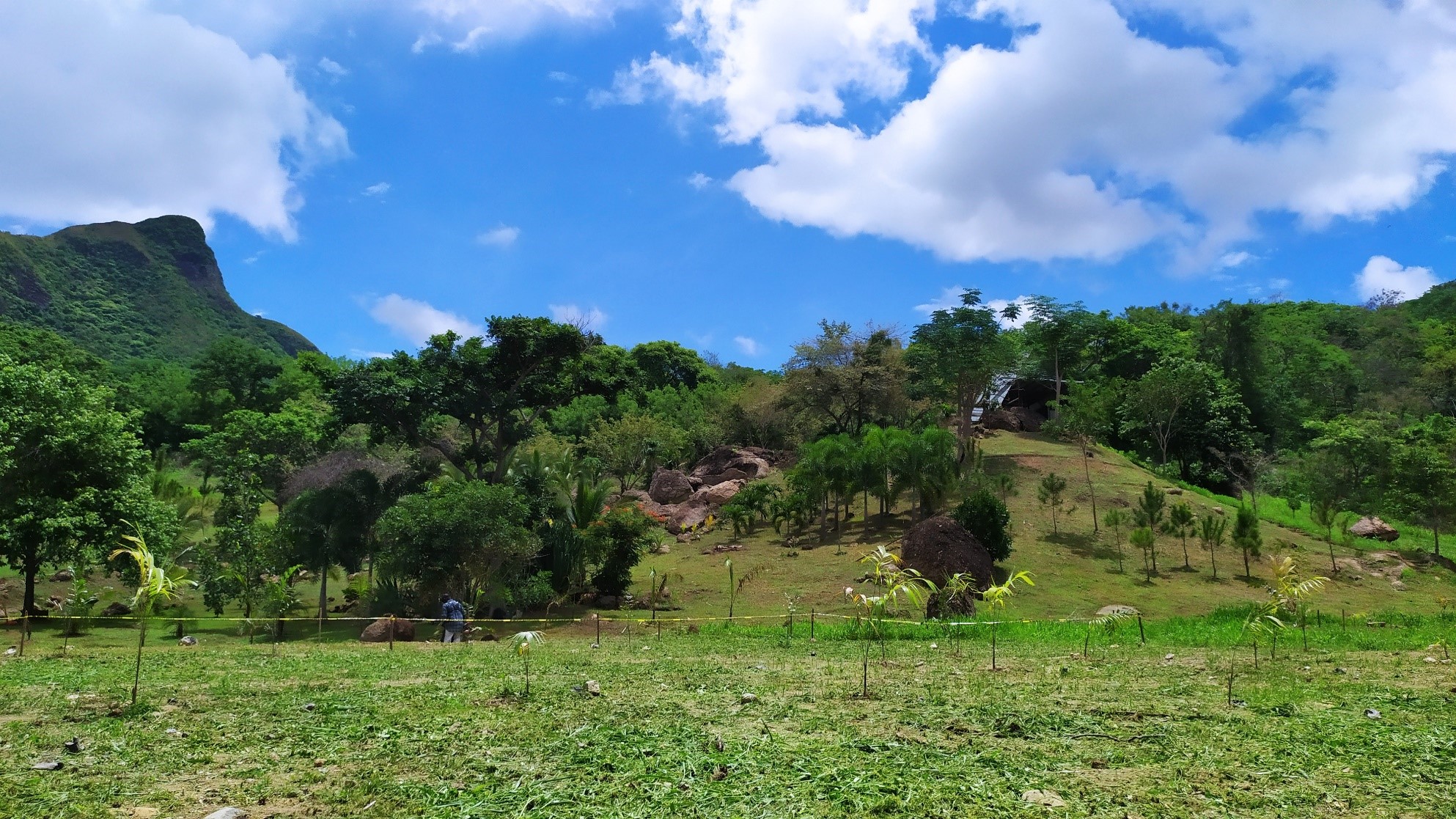 7 Hectare Eco-Friendly Land with Cabin & Ponds in La Pintada