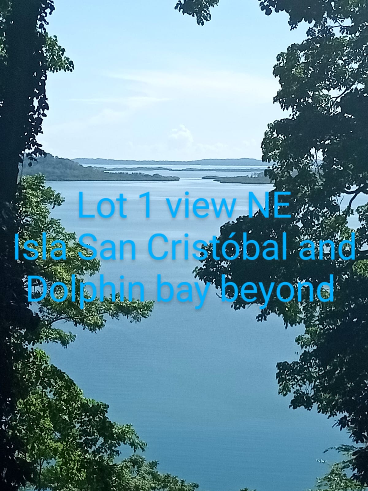 Own a Piece of Paradise: Elevated Sea View Lots from $42,500!