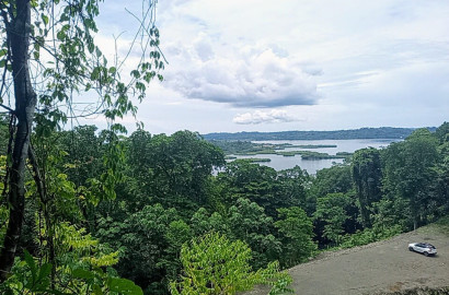Panoramic Hilltop Retreat for Sale - 2.5 Acres in Bocas del Toro