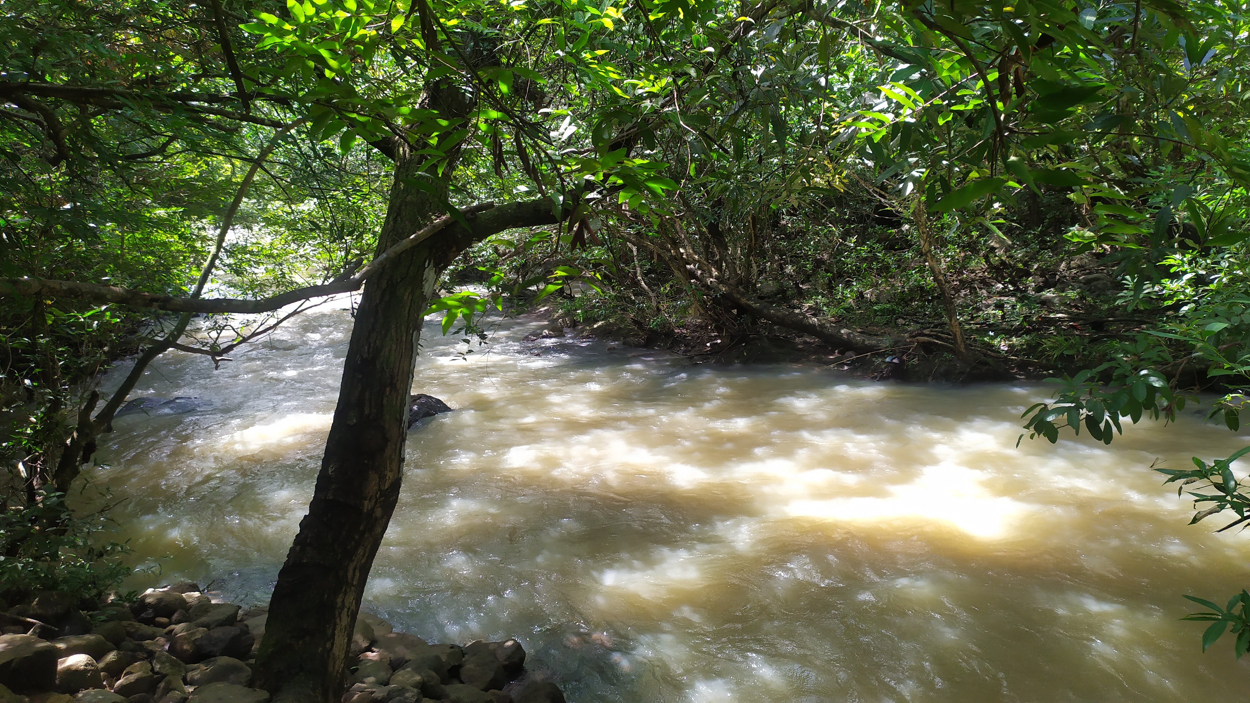 Riverfront Land for Sale in Penonomé | Eco-Friendly Lots