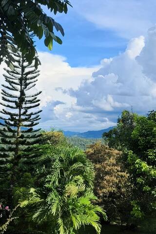 Versatile Mountain Property with Income-Generating Casitas in Santa Fe, Veraguas