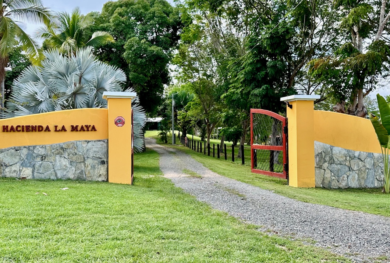 Luxury Estate in San Carlos, Panama | Rear Finca with Guest Villas, Teak Farms & Scenic Views