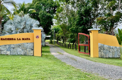 Luxury Estate in San Carlos, Panama | Private Villas, Teak Farms & Scenic Views
