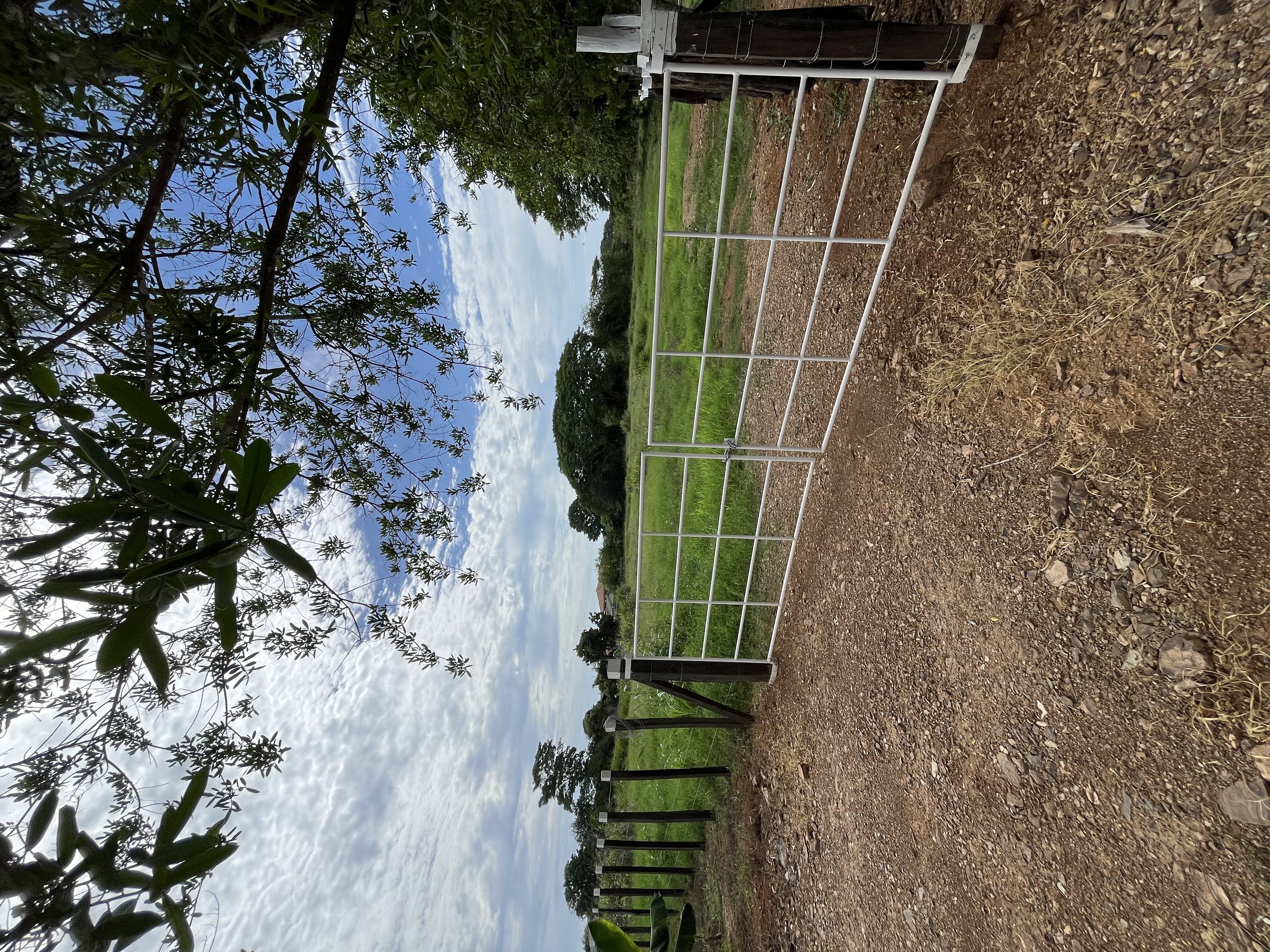 15.4 Hectares of Titled Land for Sale in Chitré, Panama