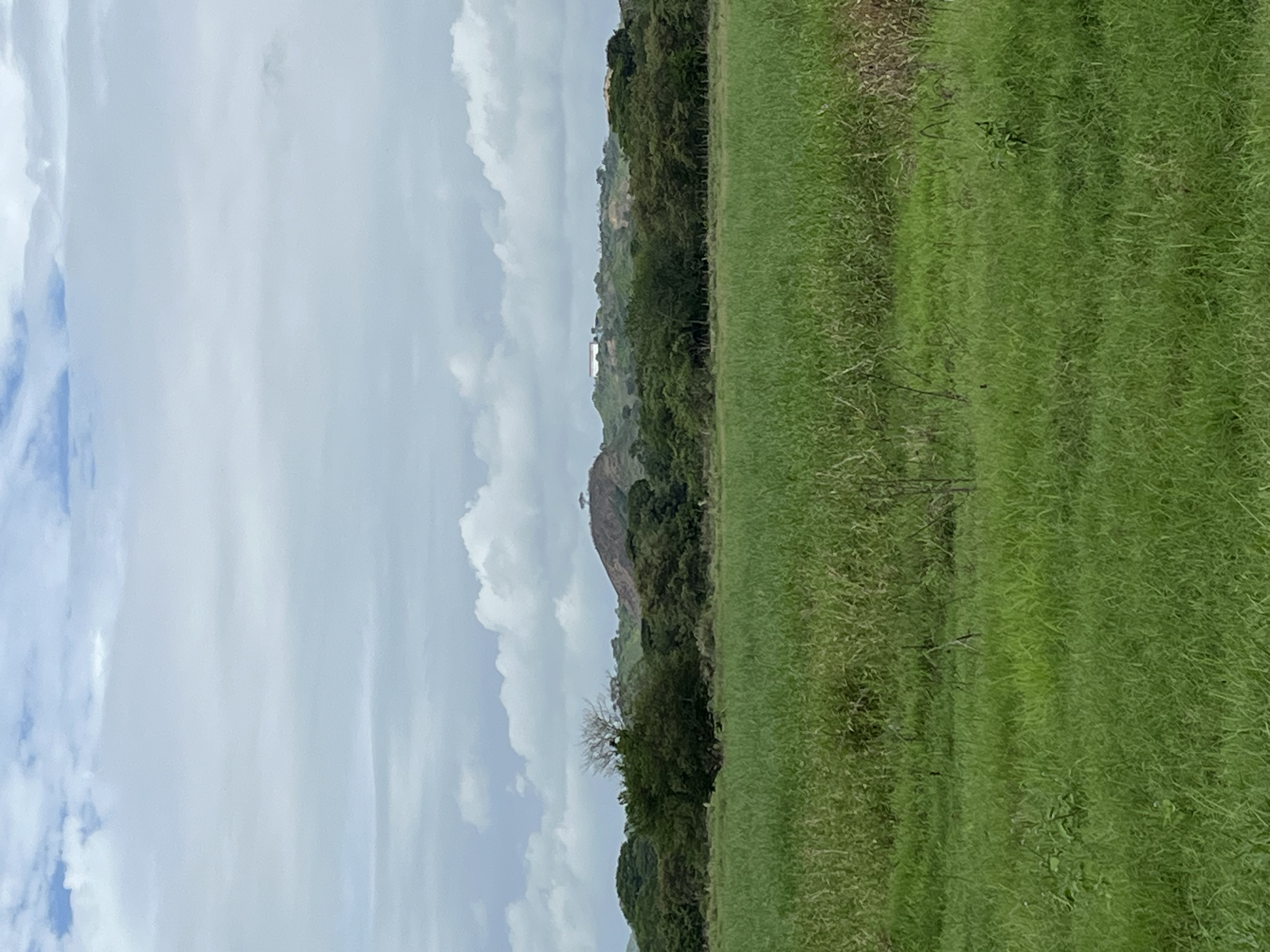 15.4 Hectares of Titled Land for Sale in Chitré, Panama