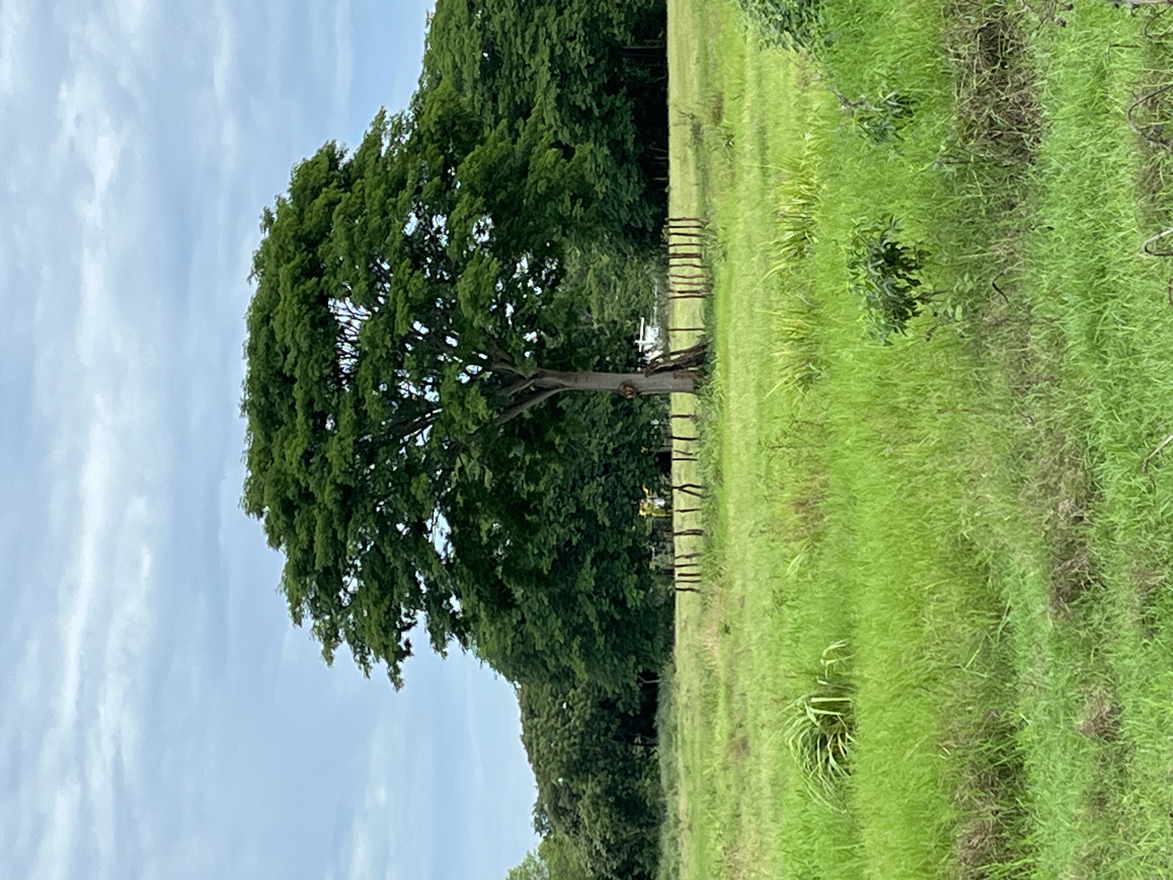15.4 Hectares of Titled Land for Sale in Chitré, Panama