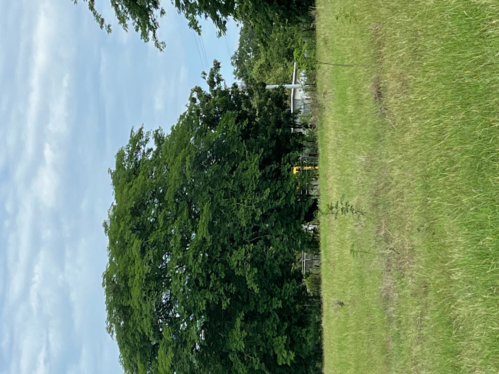 15.4 Hectares of Titled Land for Sale in Chitré, Panama