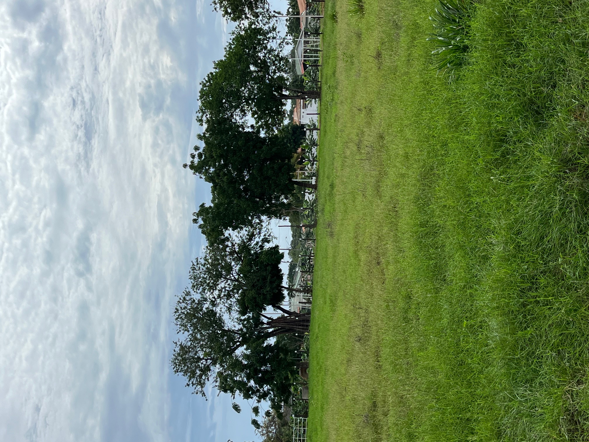 15.4 Hectares of Titled Land for Sale in Chitré, Panama