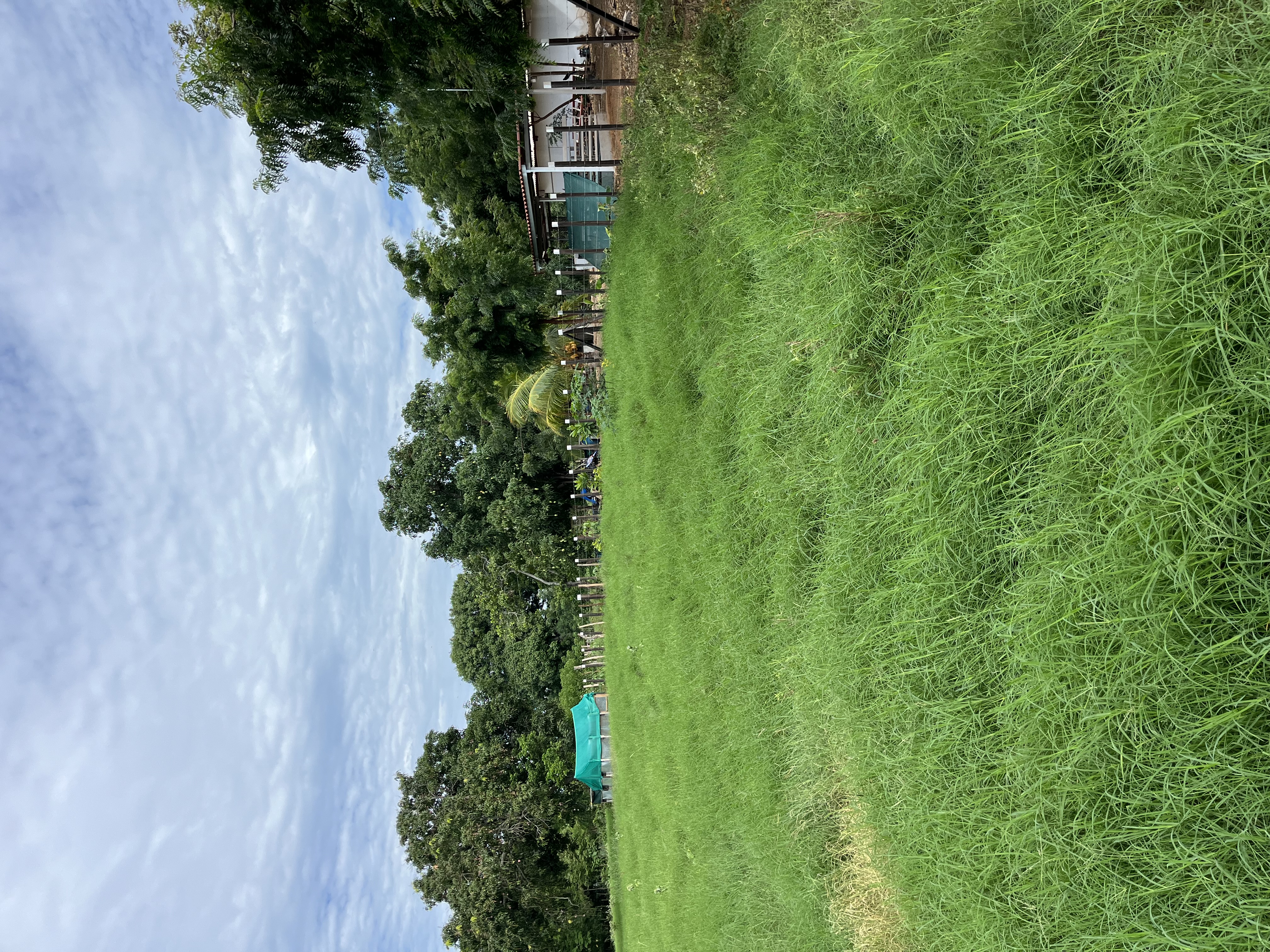 15.4 Hectares of Titled Land for Sale in Chitré, Panama