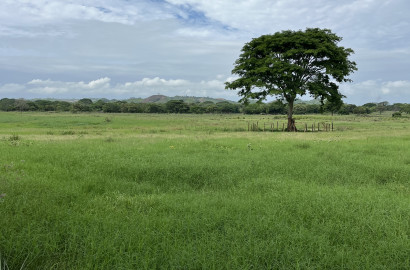 15.4 Hectares of Titled Land for Sale in Chitré, Panama