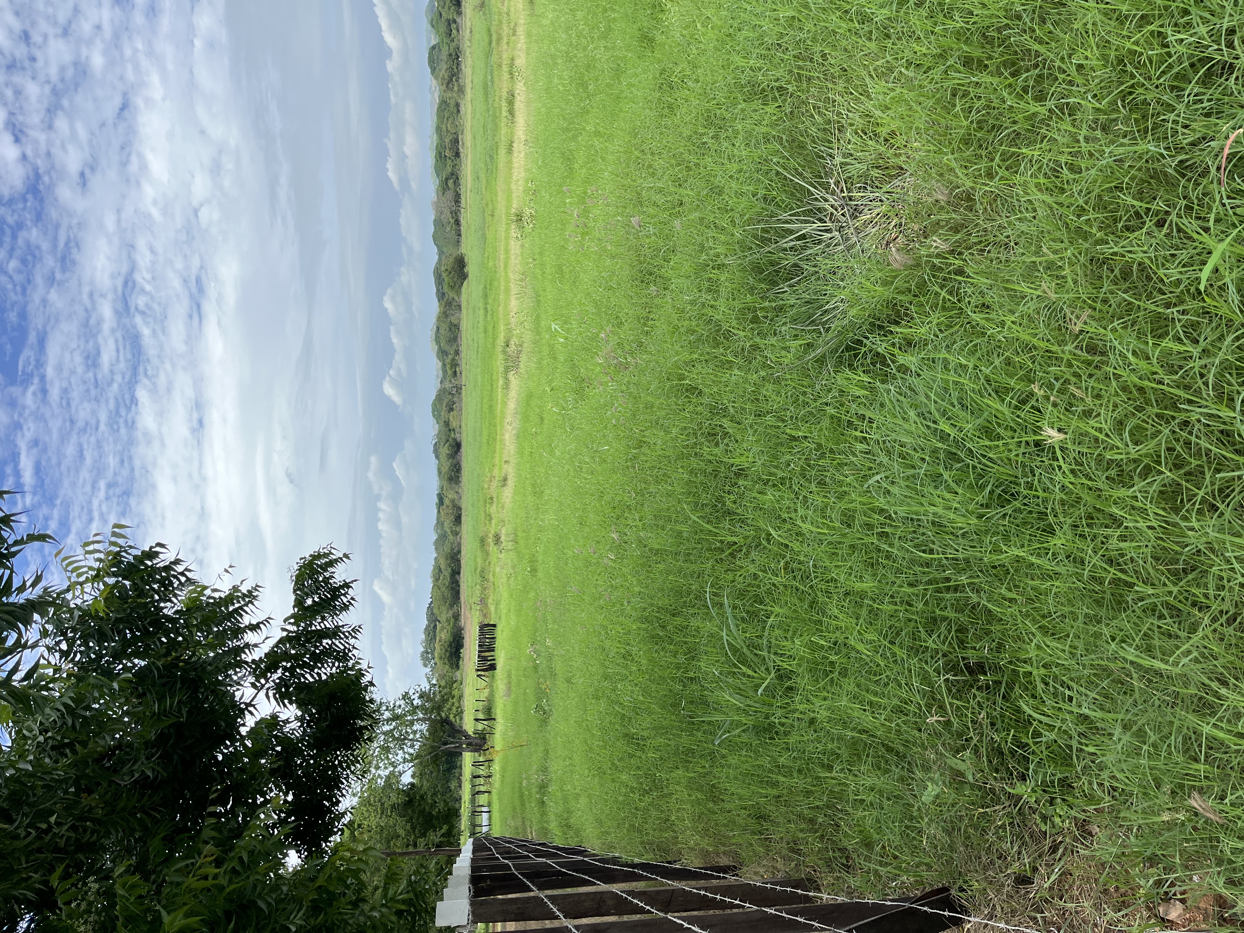 15.4 Hectares of Titled Land for Sale in Chitré, Panama