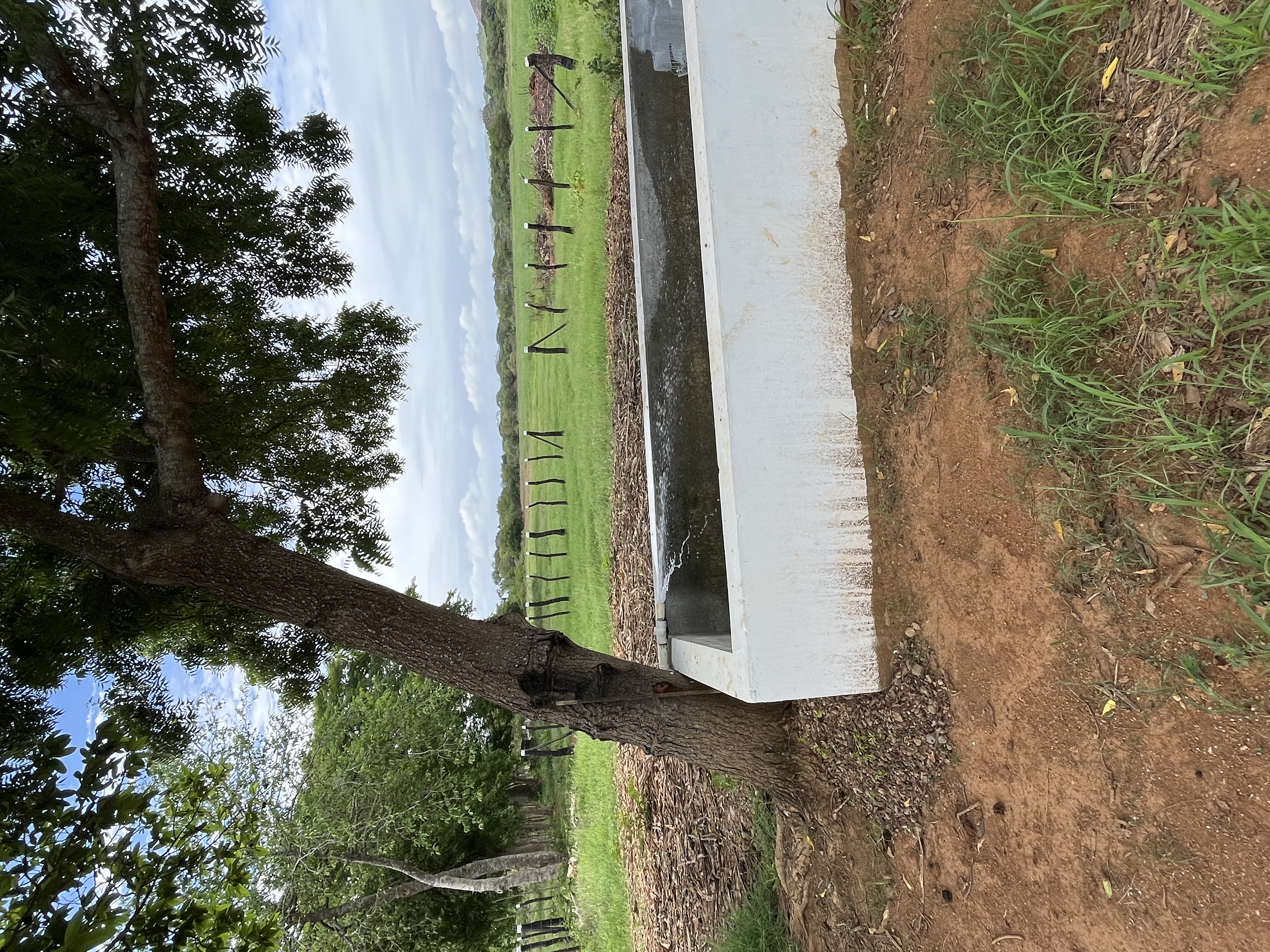 15.4 Hectares of Titled Land for Sale in Chitré, Panama