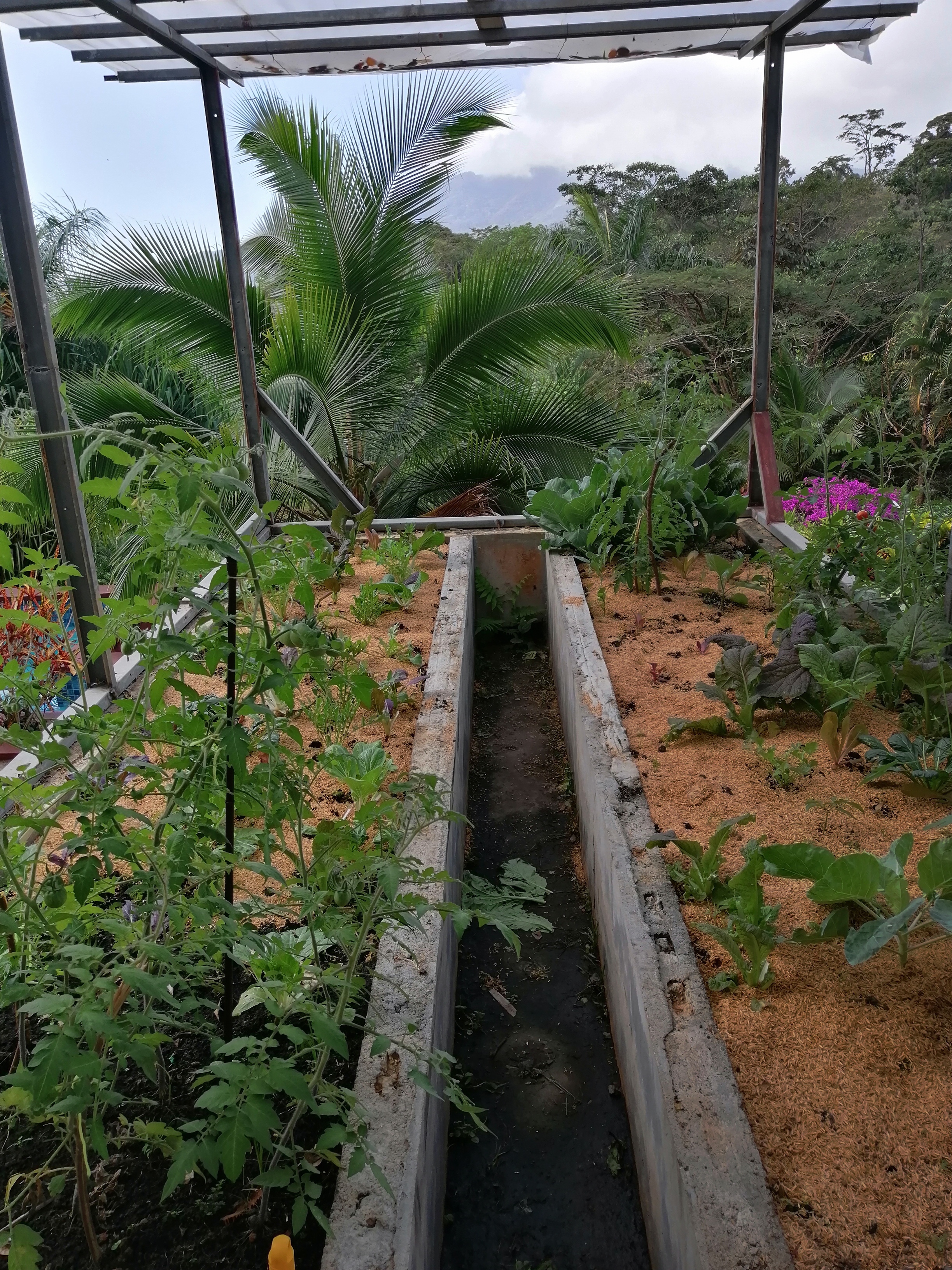 Versatile Mountain Property with Income-Generating Casitas in Santa Fe, Veraguas