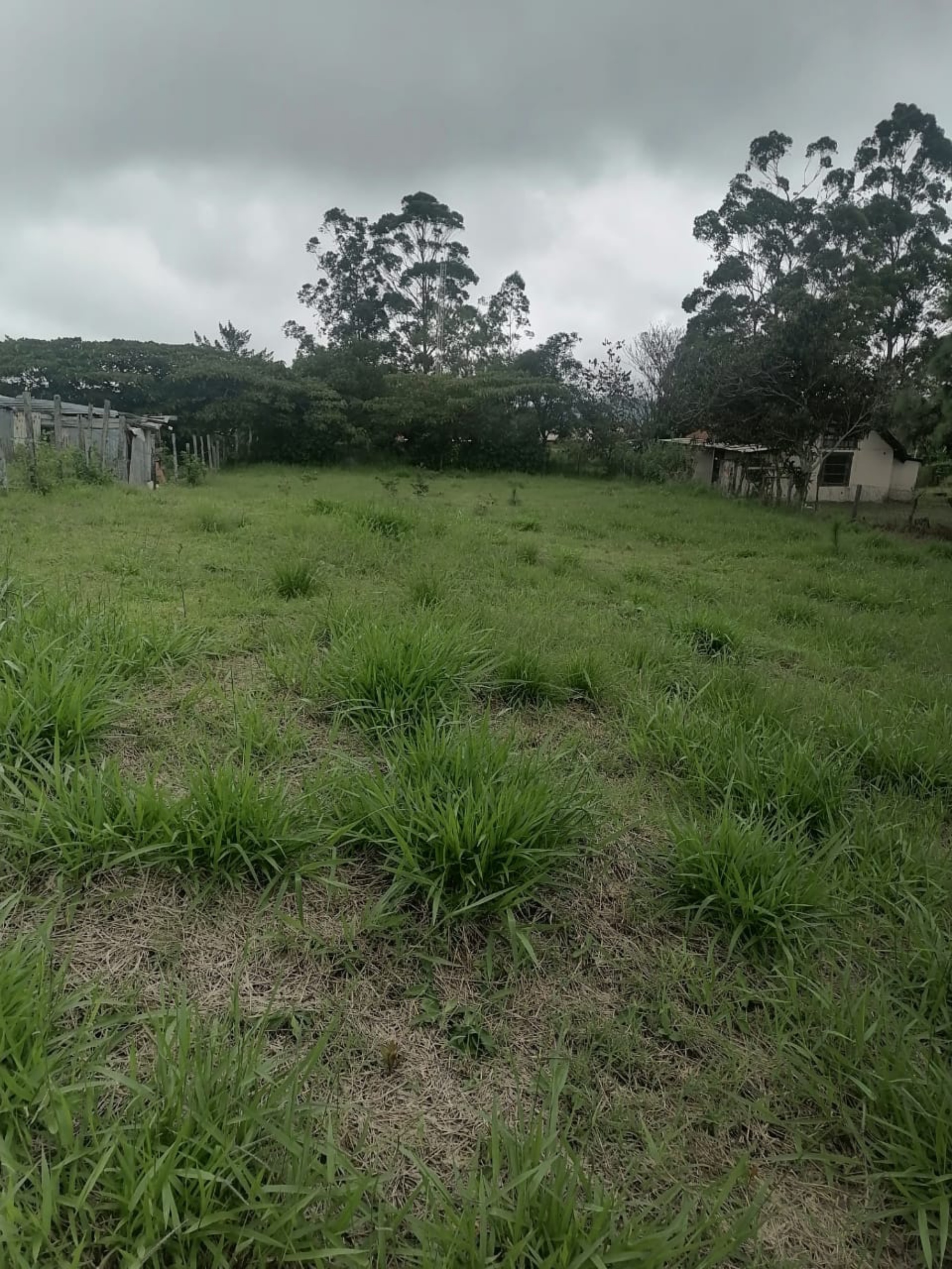 Mountain View 1,000 m² Lot in Volcan, Panama | Build Your Dream Home