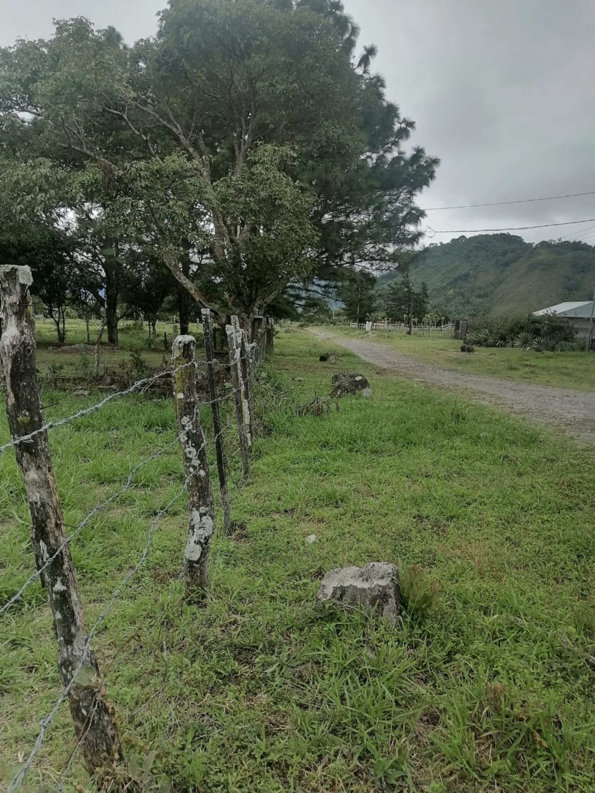 Mountain View 1,000 m² Lot in Volcan, Panama | Build Your Dream Home