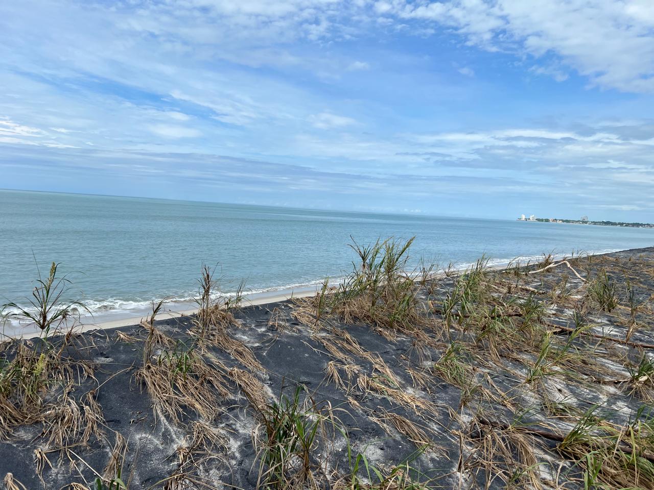 Oceanfront Land for Sale in Malibu Beach, Panama