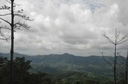 Sierra Llorona Land: 151 Hectares of Natural Beauty Overlooking the Atlantic - PLS-19923 | Panama's Premier Listings Bey