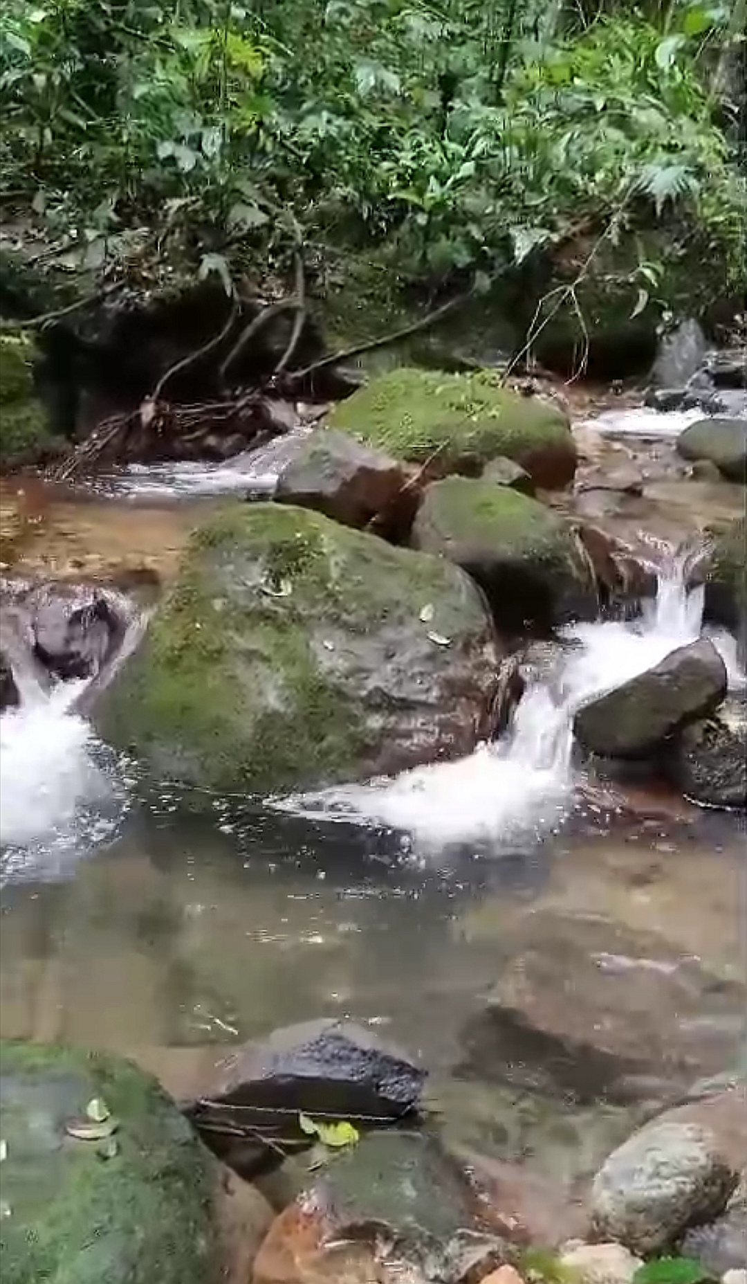 Land for Sale in Valle de Antón | 8.7 Ha with Natural Springs