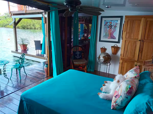 Floating 3-Bedroom Home for Sale | Off-Grid Houseboat