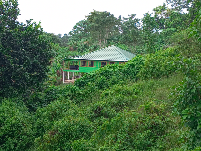 33-Acre Off-Grid Island in Bocas del Toro with Home & Dock