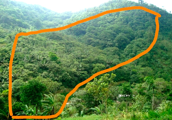 Land for Sale in Valle de Antón | 8.7 Ha with Natural Springs