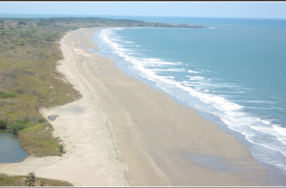 79.1-Hectare Beachfront Property for Sale in Pedasí, Panama
